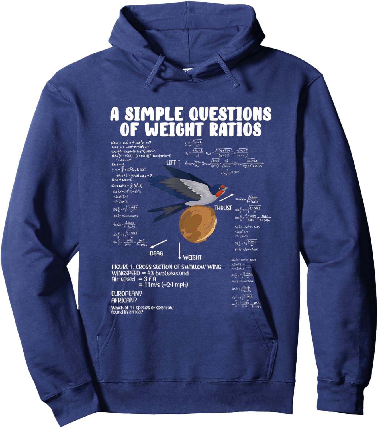 A Simple Question of Weight Ratios Math Teacher Men Women Hoodie - Hoodie | Navy