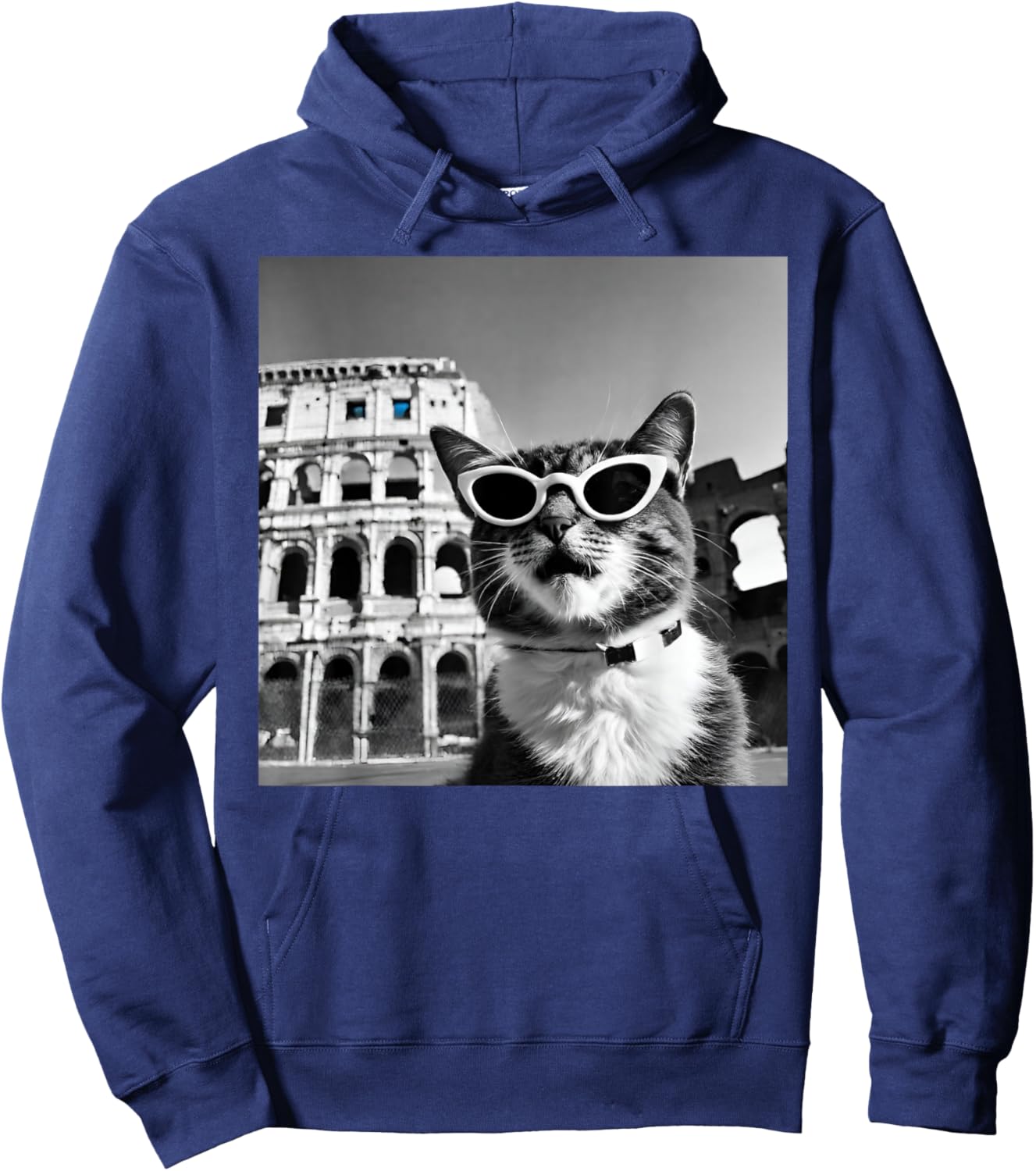 Funny Cat Wearing Sunglasses At The Roman Colosseum Hoodie - Hoodie | Navy