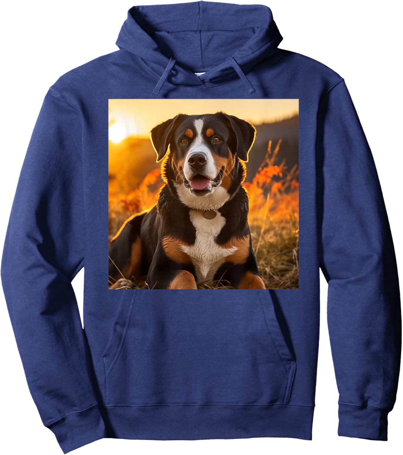 Greater Swiss Mountain Dog Sitting In The Sunset Photography Hoodie - Hoodie | Navy