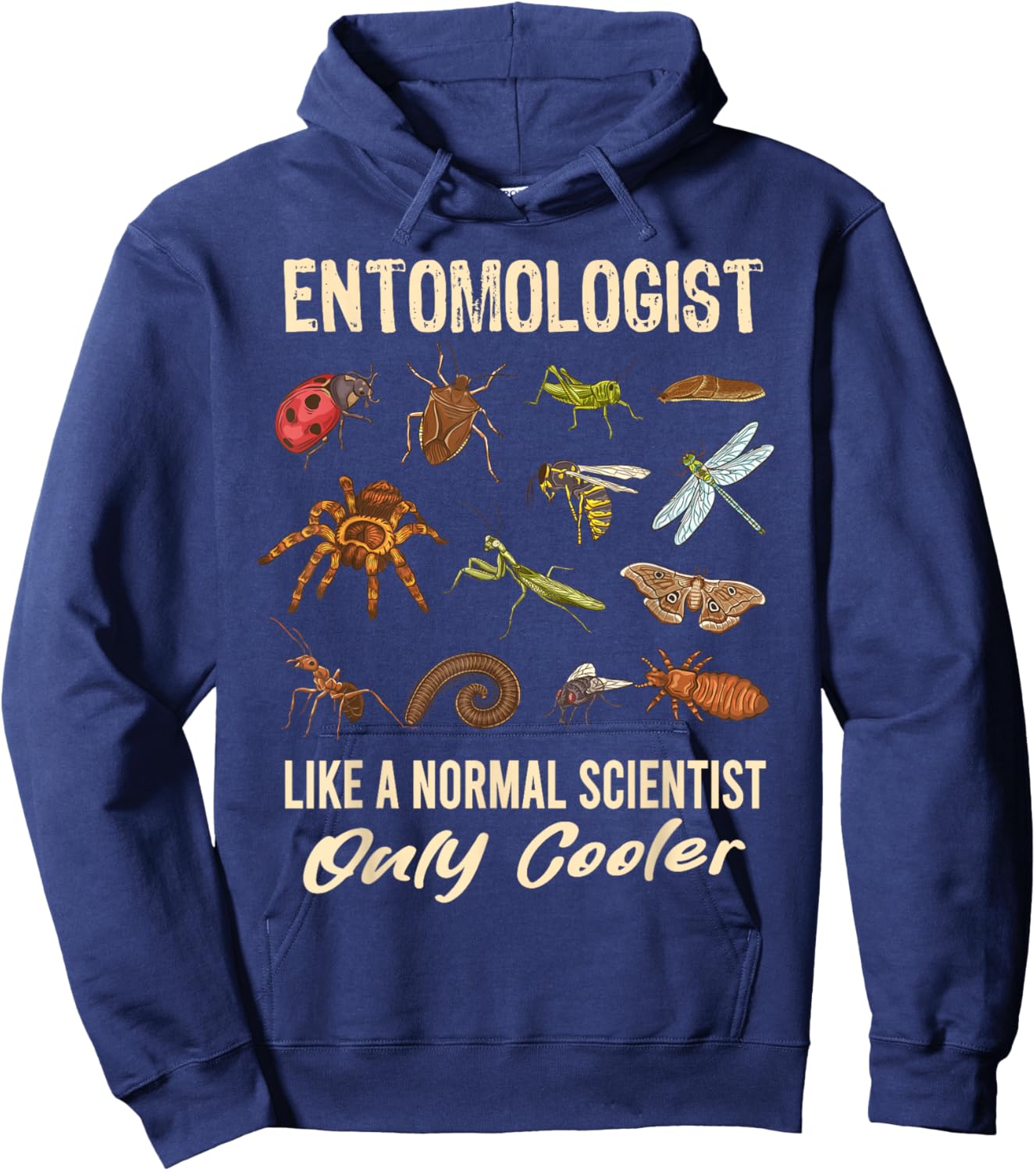Entomologist Definition Funny Entomology Science Insect Hoodie - Hoodie | Navy