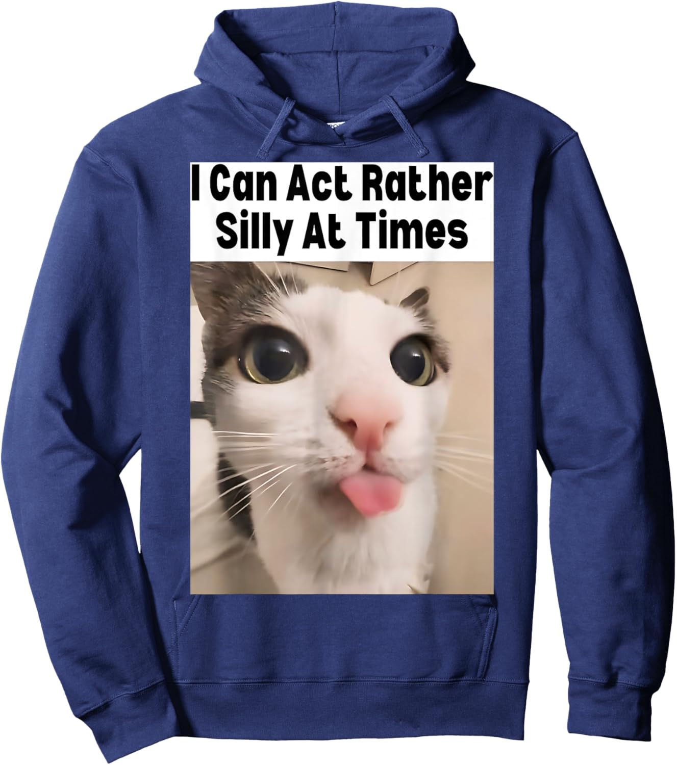 I Can Act Rather Silly At Times Cat Meme Funny Meme Gen Z Hoodie - Hoodie | Navy
