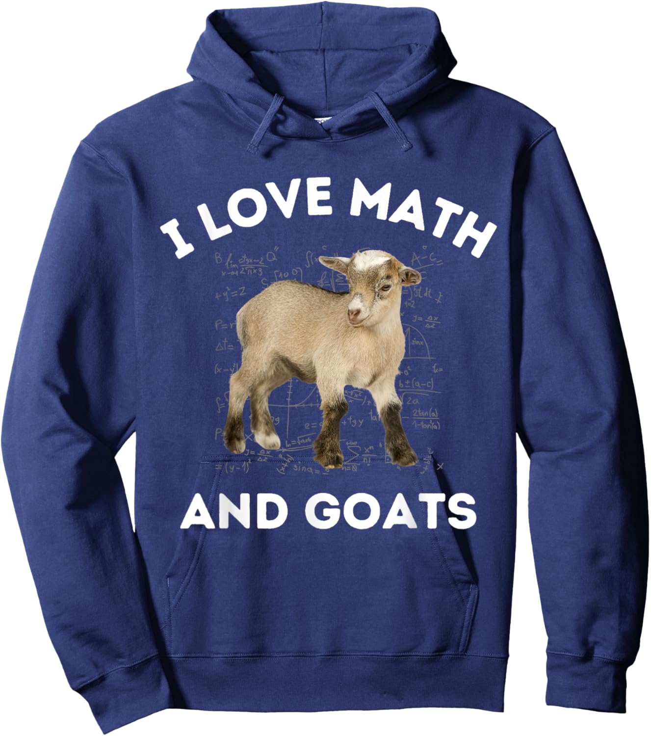 I Love Math and Goats Goat Farmer Lover Algebra Teacher Hoodie - Hoodie | Navy