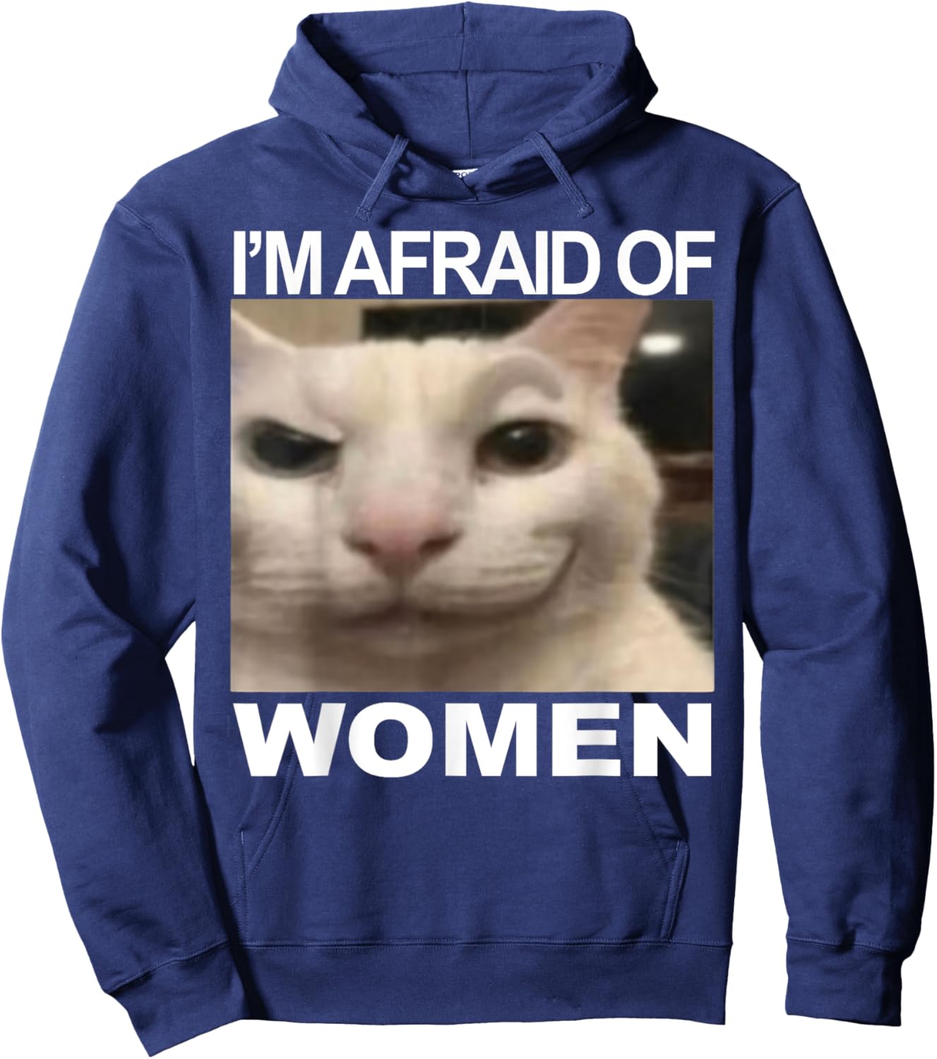 I’m Afraid Of Women Funny Meme Cat Lover Sarcastic Humorous Hoodie - Hoodie | Navy