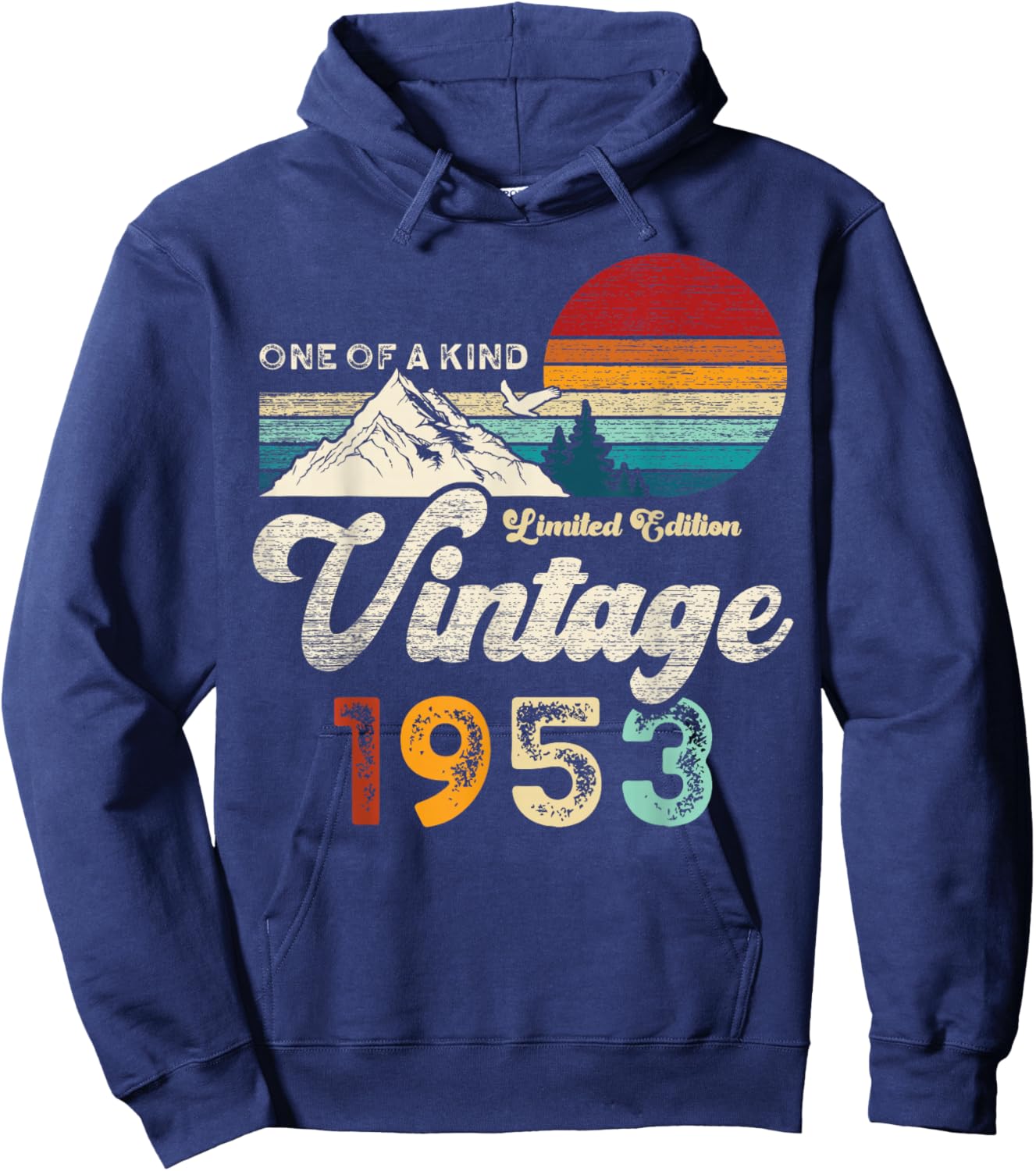 Vintage 1953 Montagnes Aigle Retro 73e Anniversaire Hoodie - Hoodie | Navy