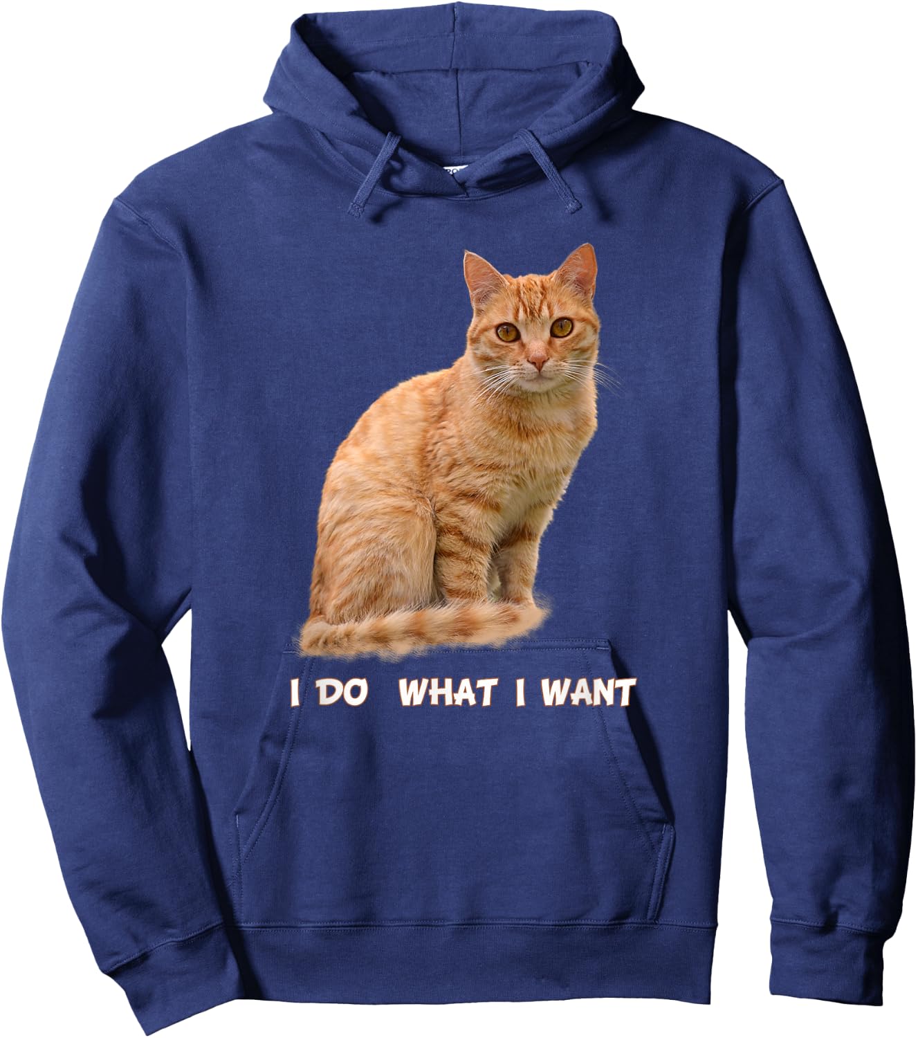 I Make What I Want Funny Orange Tabby Cat Lovers Hoodie - Hoodie | Navy