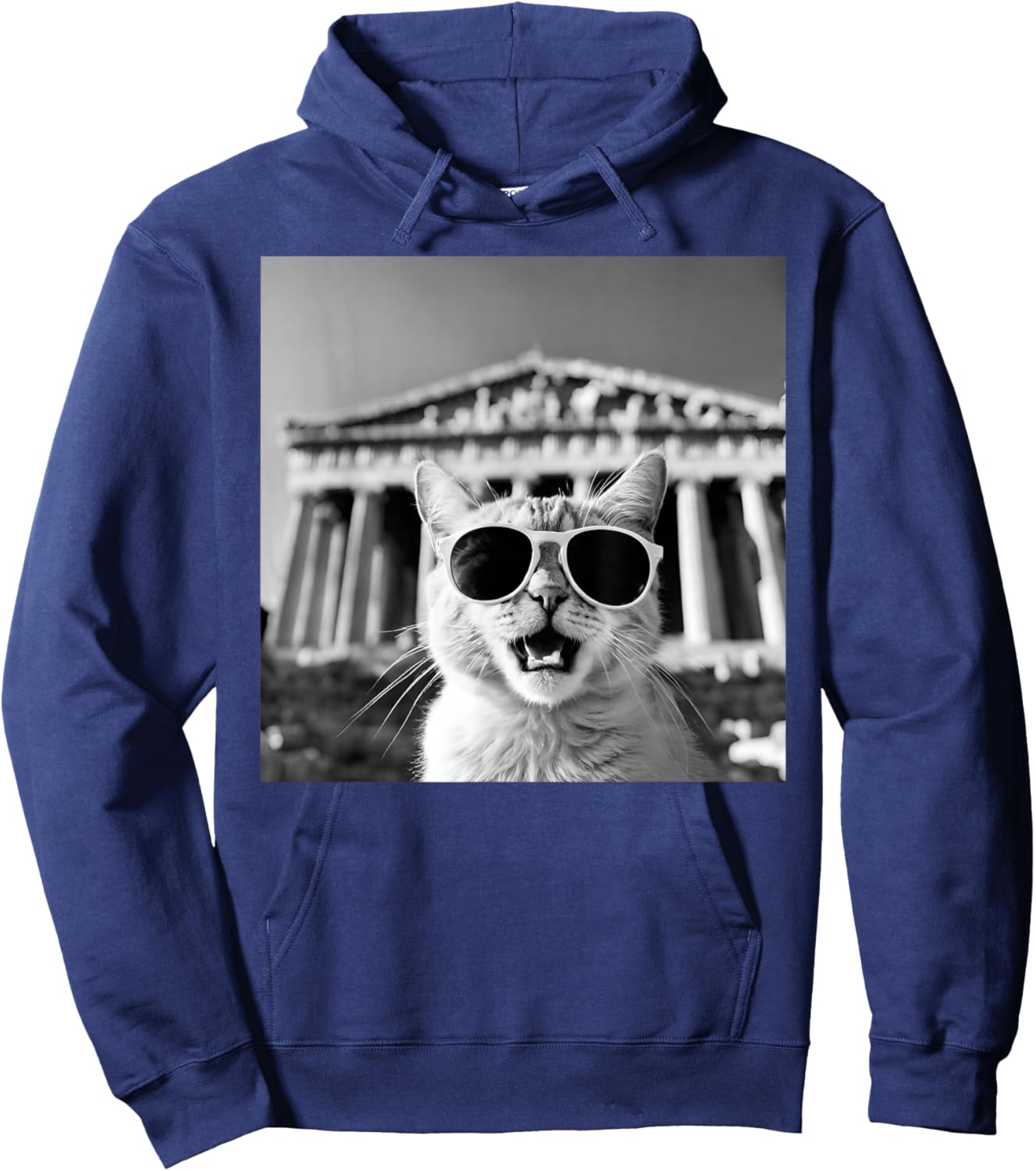 Funny Cat Wearing Sunglasses In Greece, Athens at Parthenon Hoodie - Hoodie | Navy