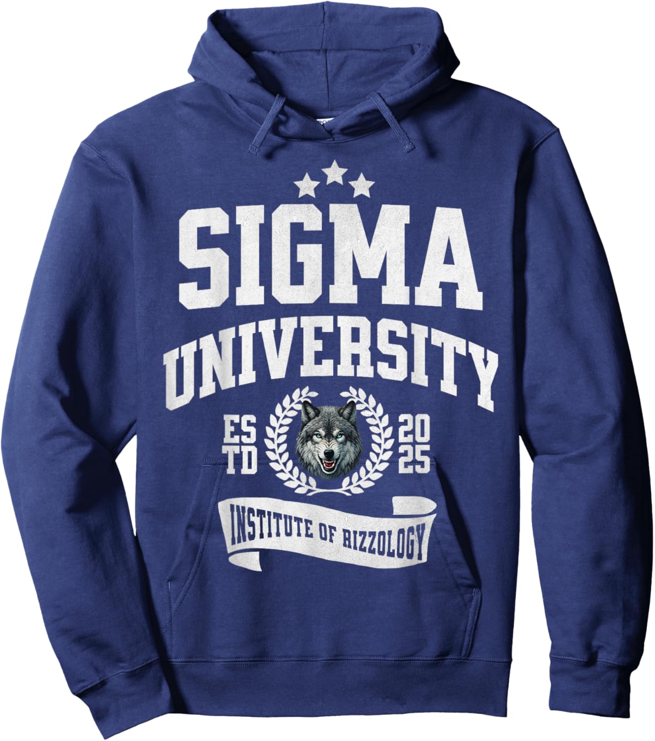 Sigma University Institute of Rizzology Funny Wolf Rizz Meme Hoodie - Hoodie | Navy