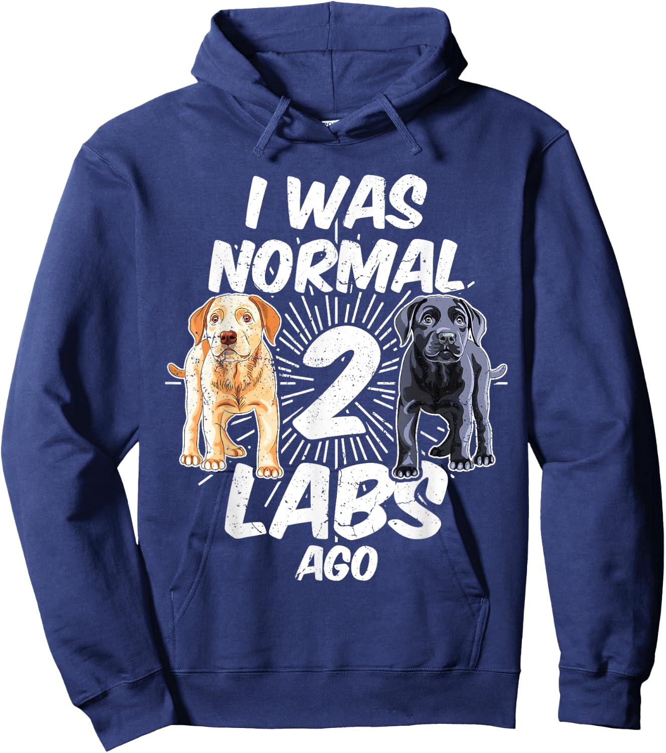 I Was Normal 2 Labs Ago Funny Labrador Dog Breed Women Hoodie - Hoodie | Navy