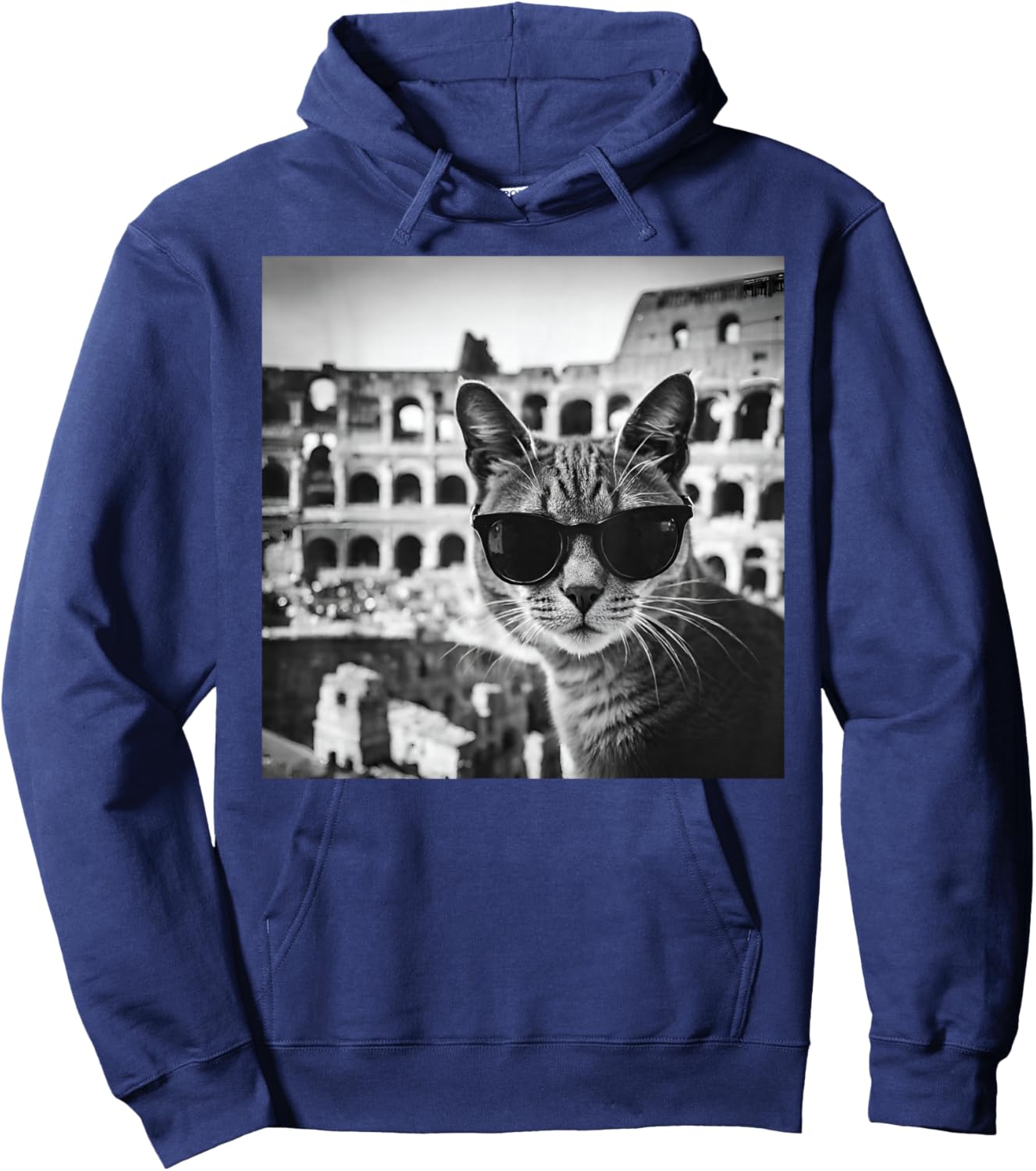 Funny Italy Cat Wearing Sunglasses At The Roman Colosseum Hoodie - Hoodie | Navy