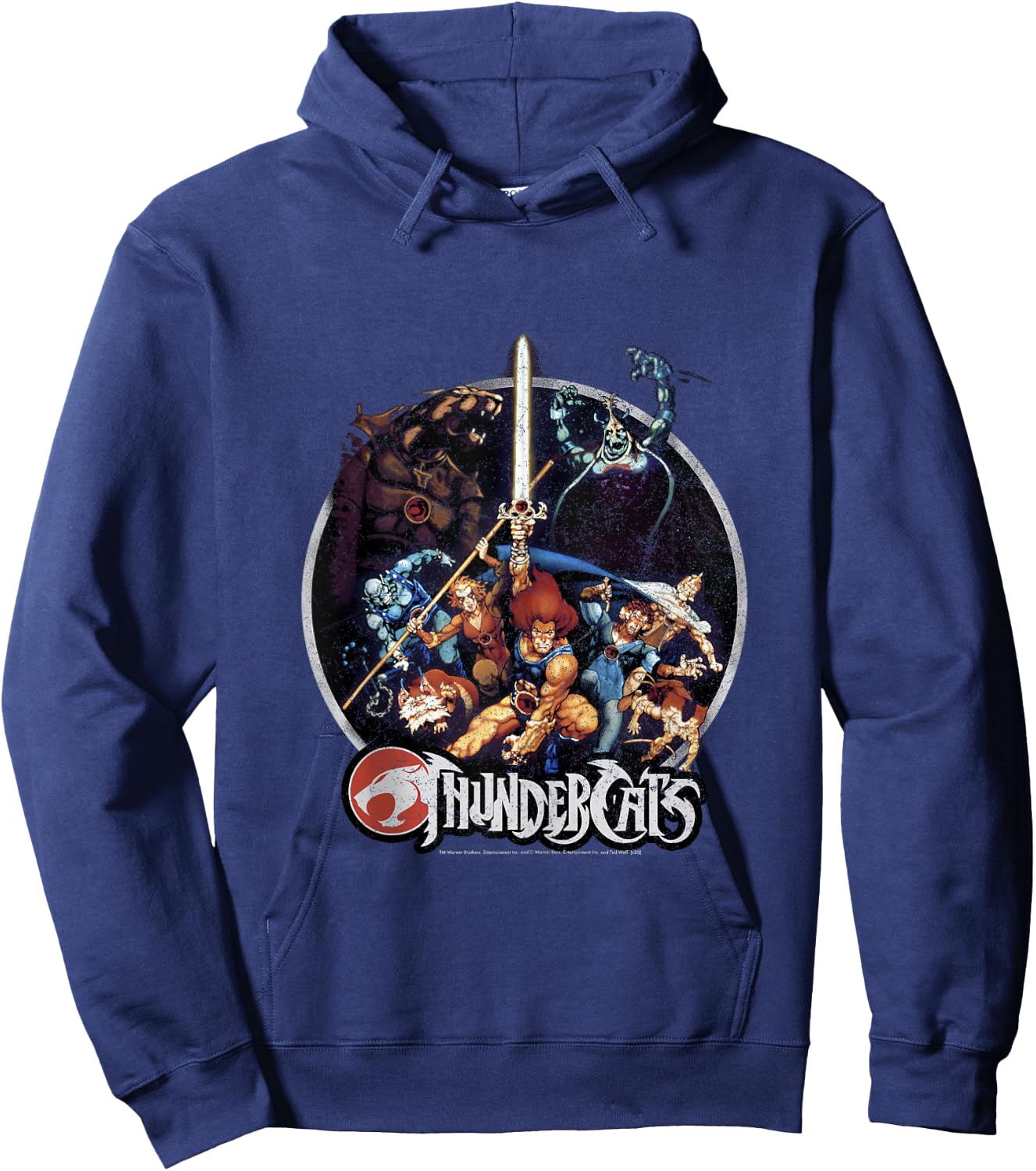 Thundercats Group Shot Vintage Circle Small Hoodie - Hoodie | Navy