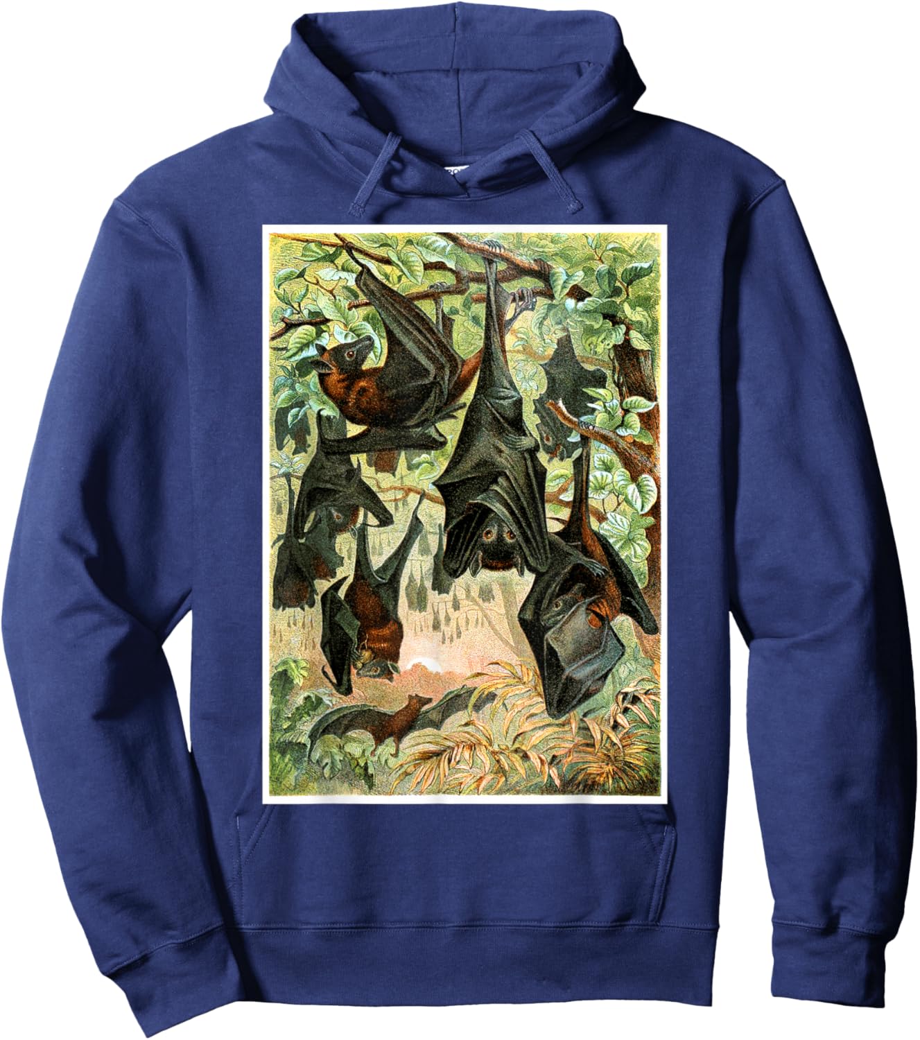 Flying Foxes Bats Hanging Bat Vintage Animal Illustration Hoodie - Hoodie | Navy