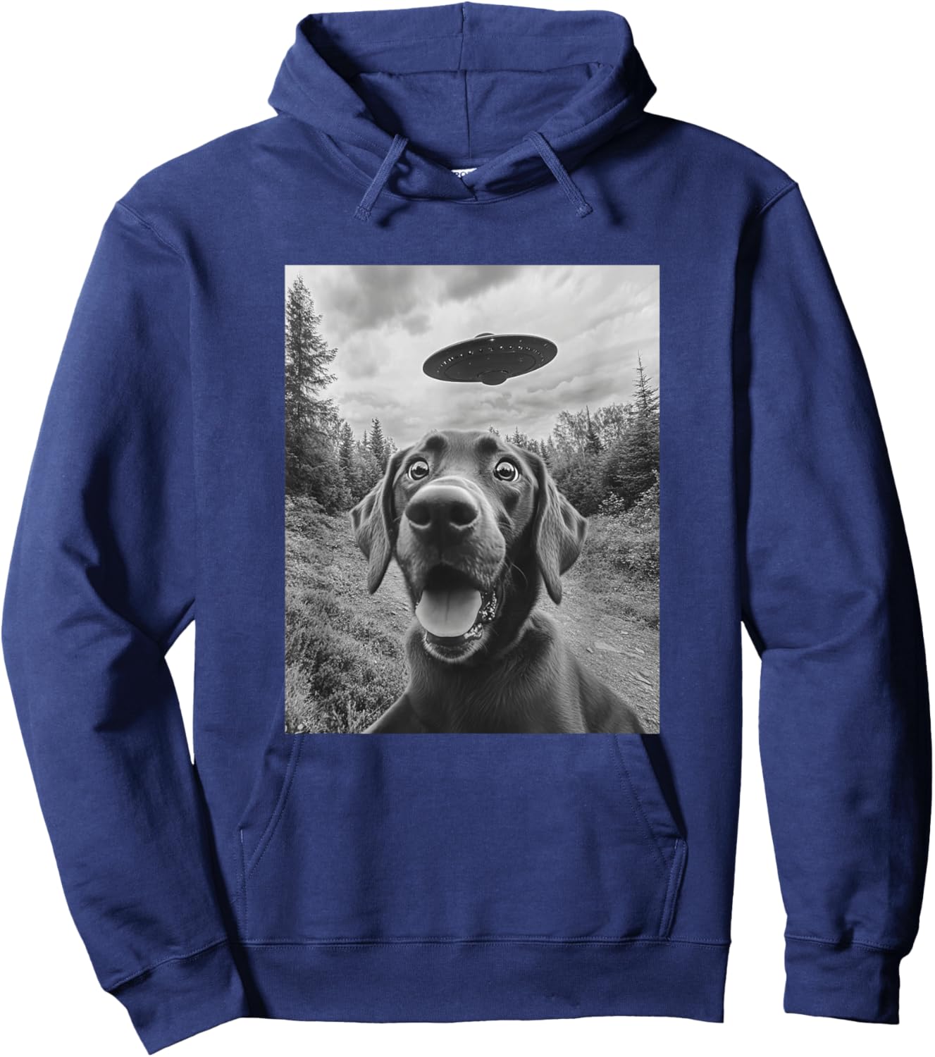 Labrador UFO Meme - Funny Labrador Selfie with UFO Hoodie - Hoodie | Navy