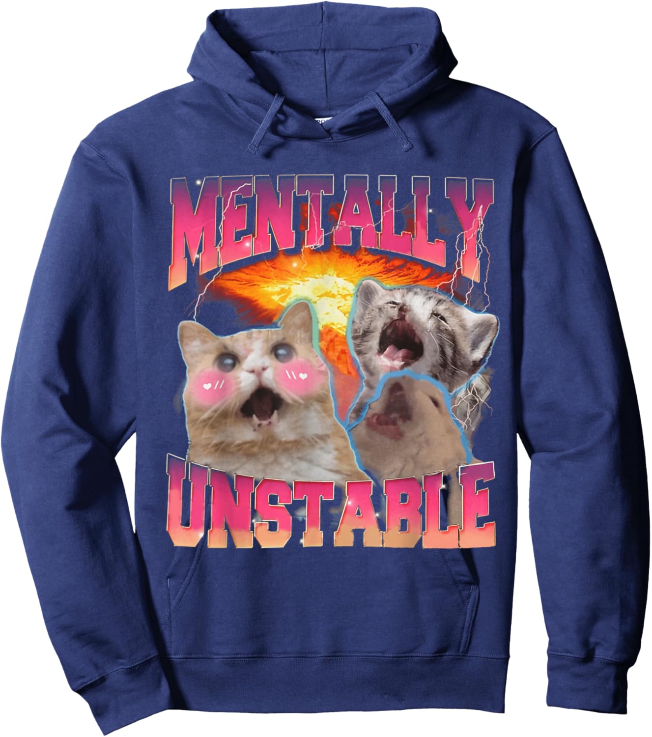 Mentally Unstable Cat Meme Shirt, Funny Cat Meme Hoodie - Hoodie | Navy