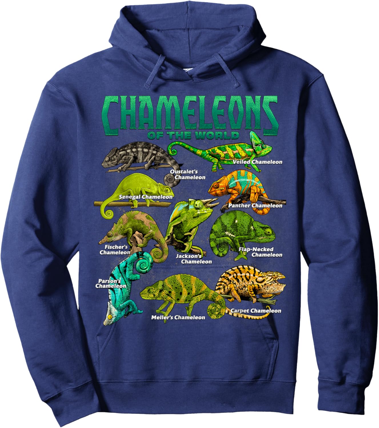Chameleons of The World Educational Reptile Lizard Lover Hoodie - Hoodie | Navy