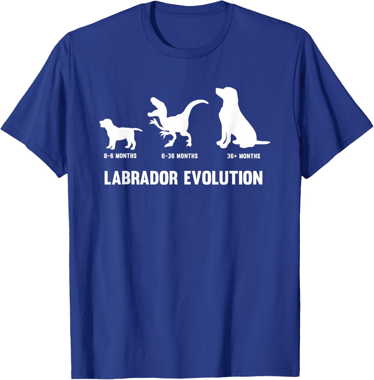Labrador Retriever Evolution Design for a Labrador Owner Small T-Shirt - T-Shirt | Royal