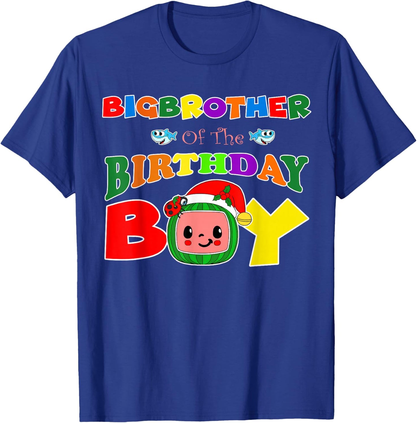 Big Brother Of The Birthday Boy Funny Melon Family Matching T-Shirt - T-Shirt | Royal