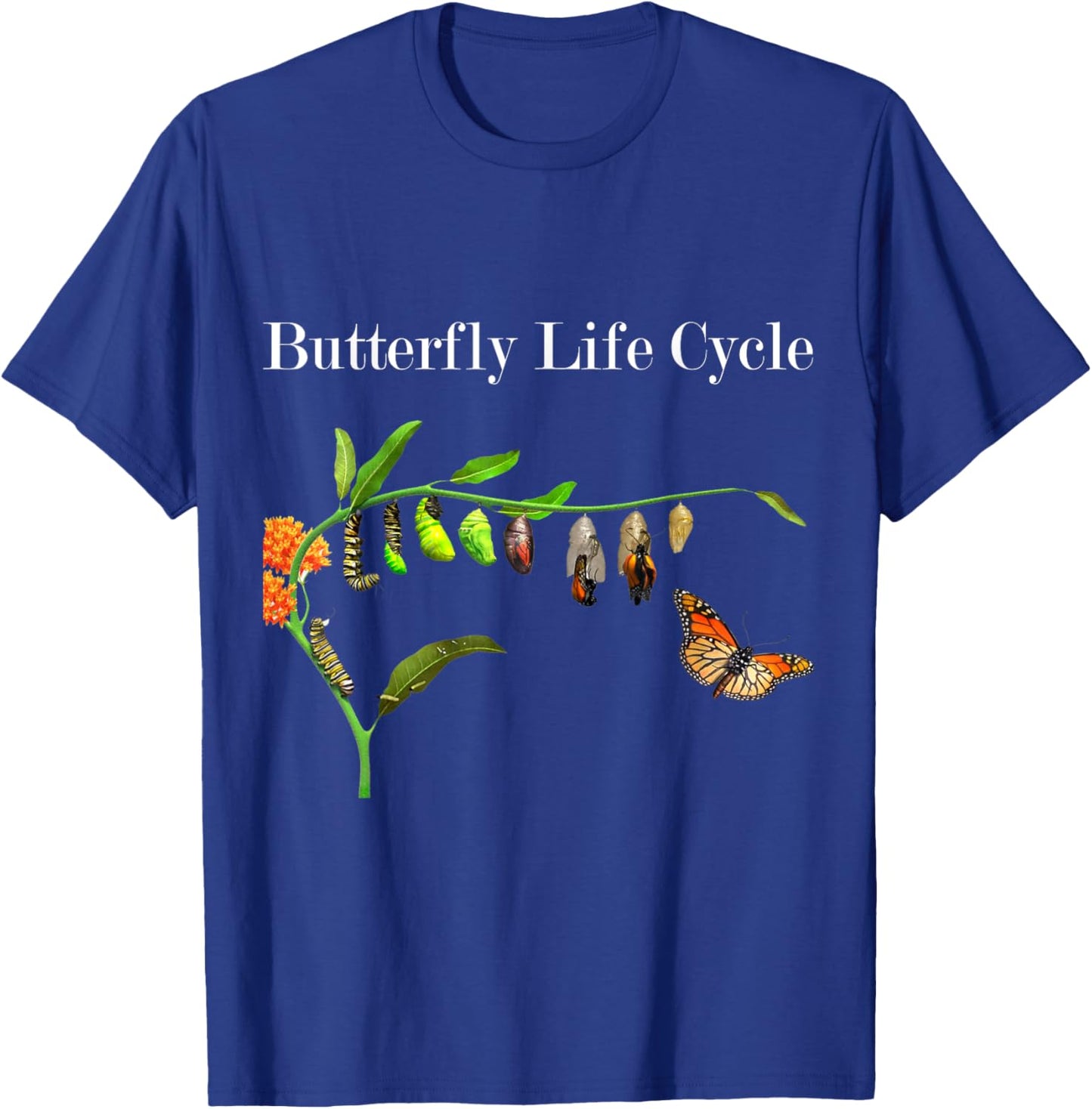 Butterfly Life Cycle Butterflies Natural Sciences Lover T-Shirt - T-Shirt | Royal
