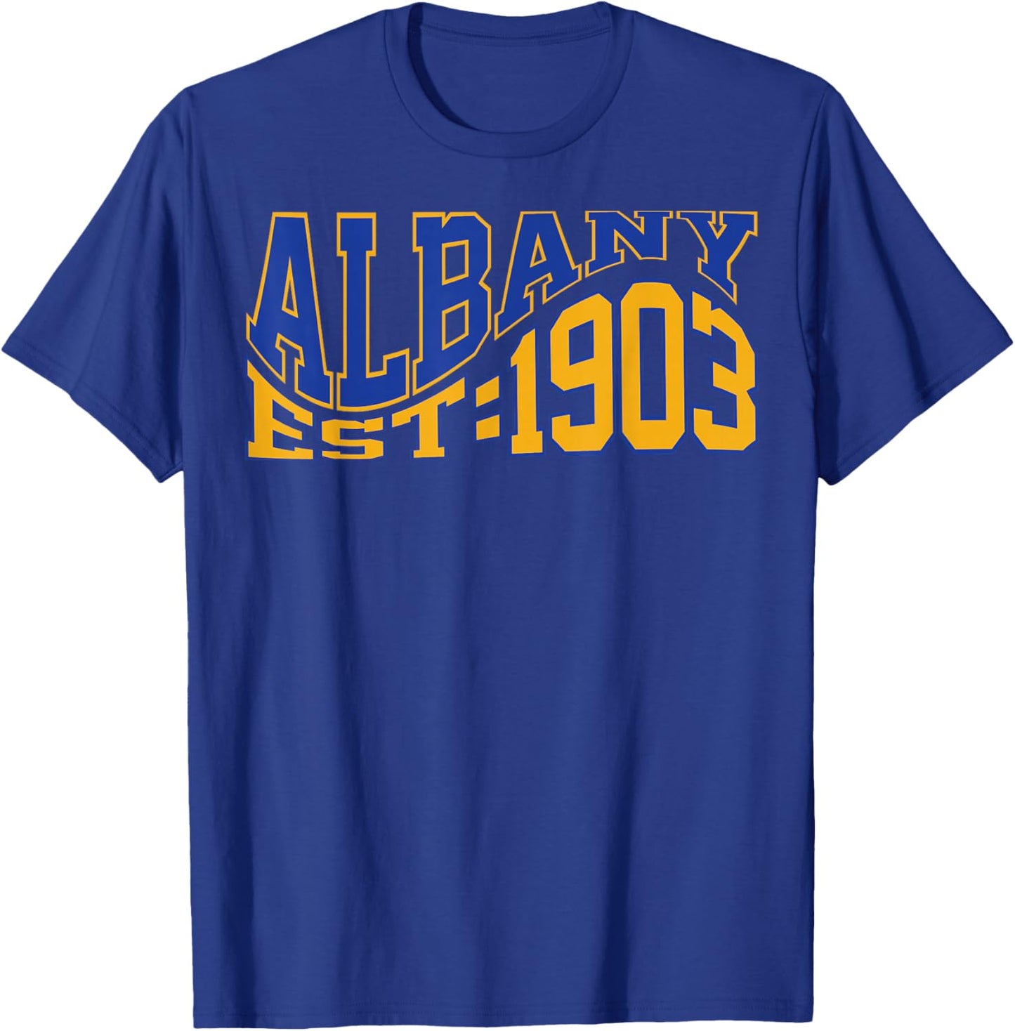 Retro Albany Wave Text City Vintage State T-Shirt - T-Shirt | Royal