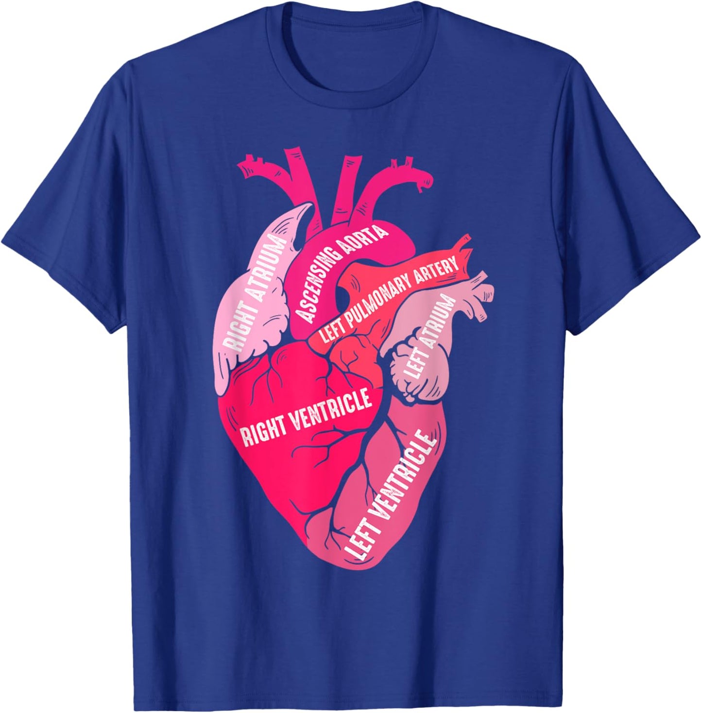 Parts Of Heart Cardiology Men Women Anatomical Cardiac T-Shirt - T-Shirt | Royal