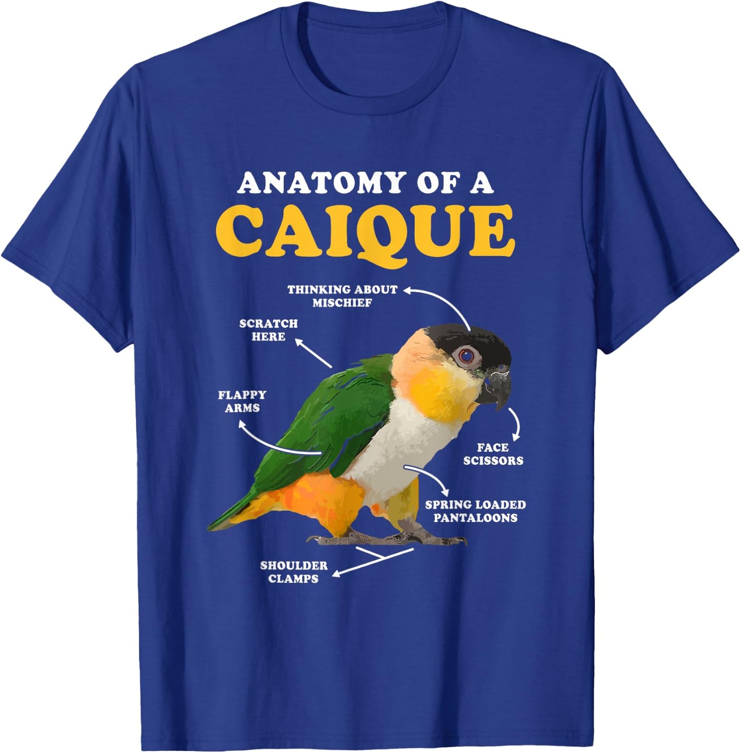 Anatomy Of A Caique Bird Animal Pet Zookeeper T-Shirt - T-Shirt | Royal