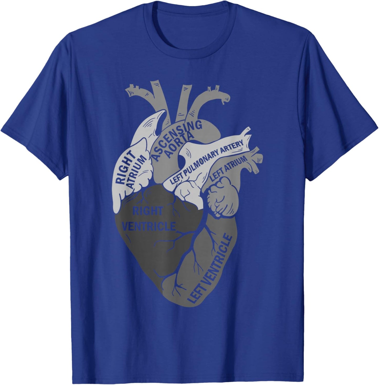 Parts Of Heart Cardiology Men Women Anatomical Cardiac T-Shirt - T-Shirt | Royal