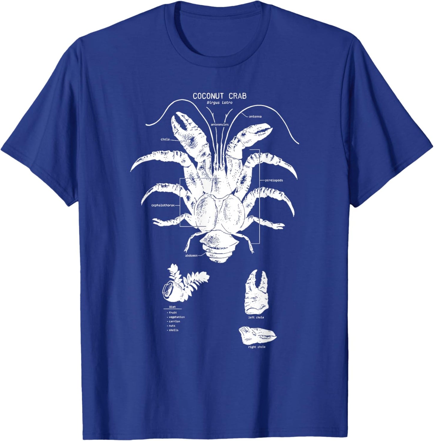 Coconut Crab Anatomy Marine Biology Cute Sea Animal Ocean T-Shirt - T-Shirt | Royal
