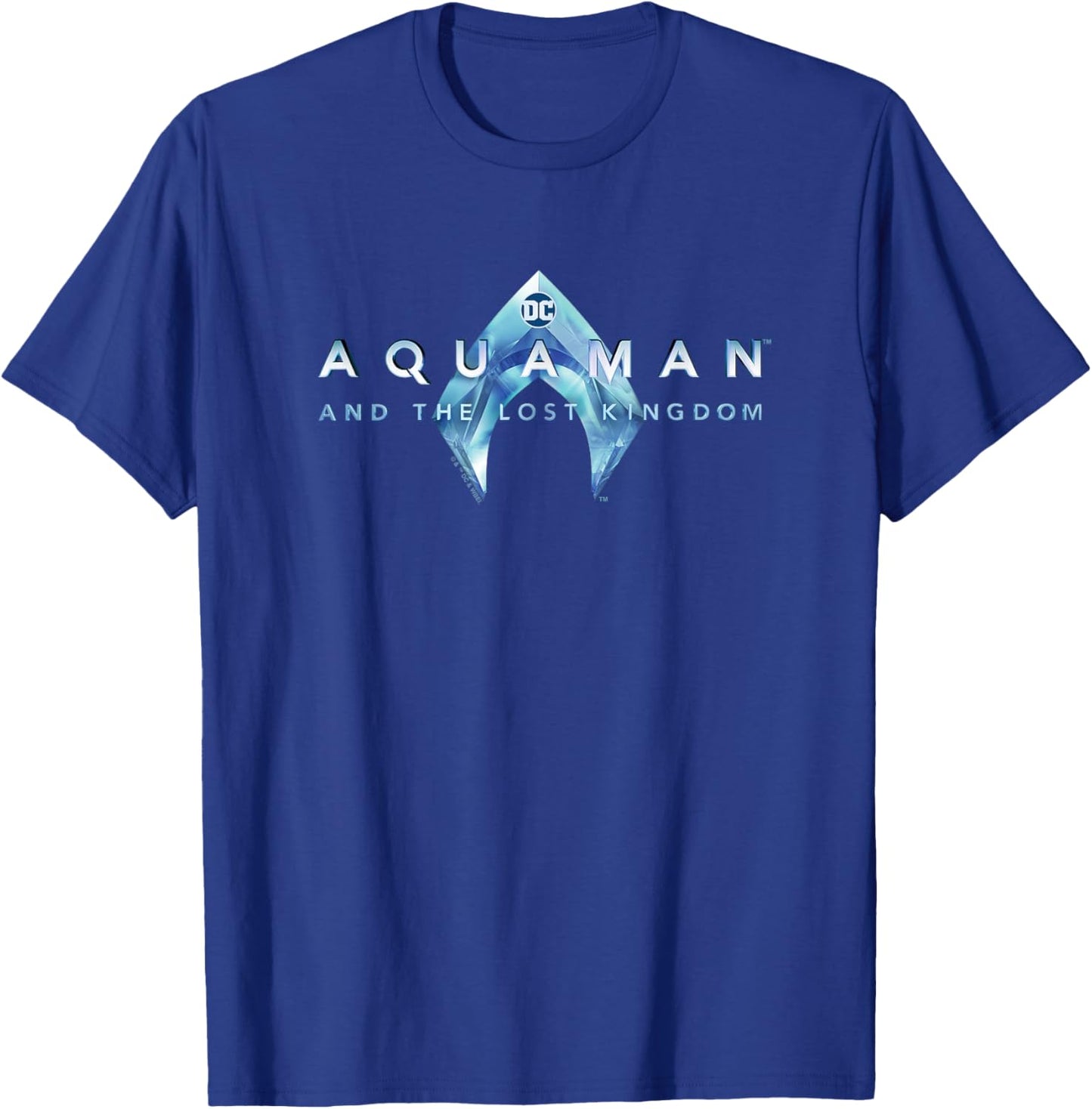 Aquaman Kids' Black with Aquaman and the Lost Kingdom Logo T-Shirt - T-Shirt | Royal