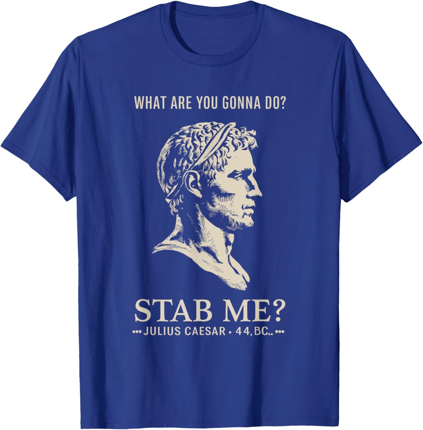 Julius Caesar Stab Me Historical Humor, Roman Empire Meme T-Shirt - T-Shirt | Royal