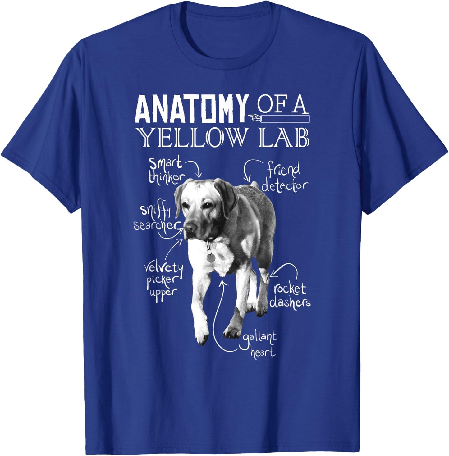 Anatomy of a Yellow Lab Chalkboard, Labrador Retriever Lover T-Shirt - T-Shirt | Royal