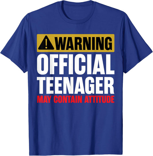 13 Birthday Official Teenager Boy 13yr Math 13th Birthday T-Shirt - T-Shirt | Royal