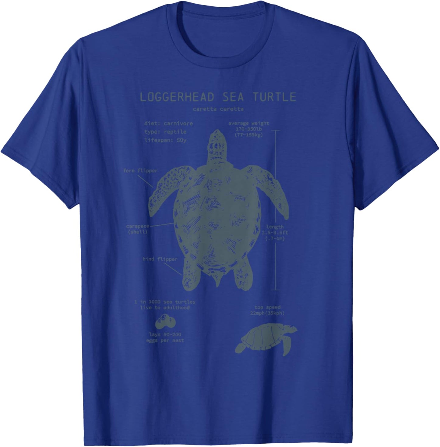 Loggerhead Sea Turtle Anatomy Marine Biologist Vintage T-Shirt - T-Shirt | Royal