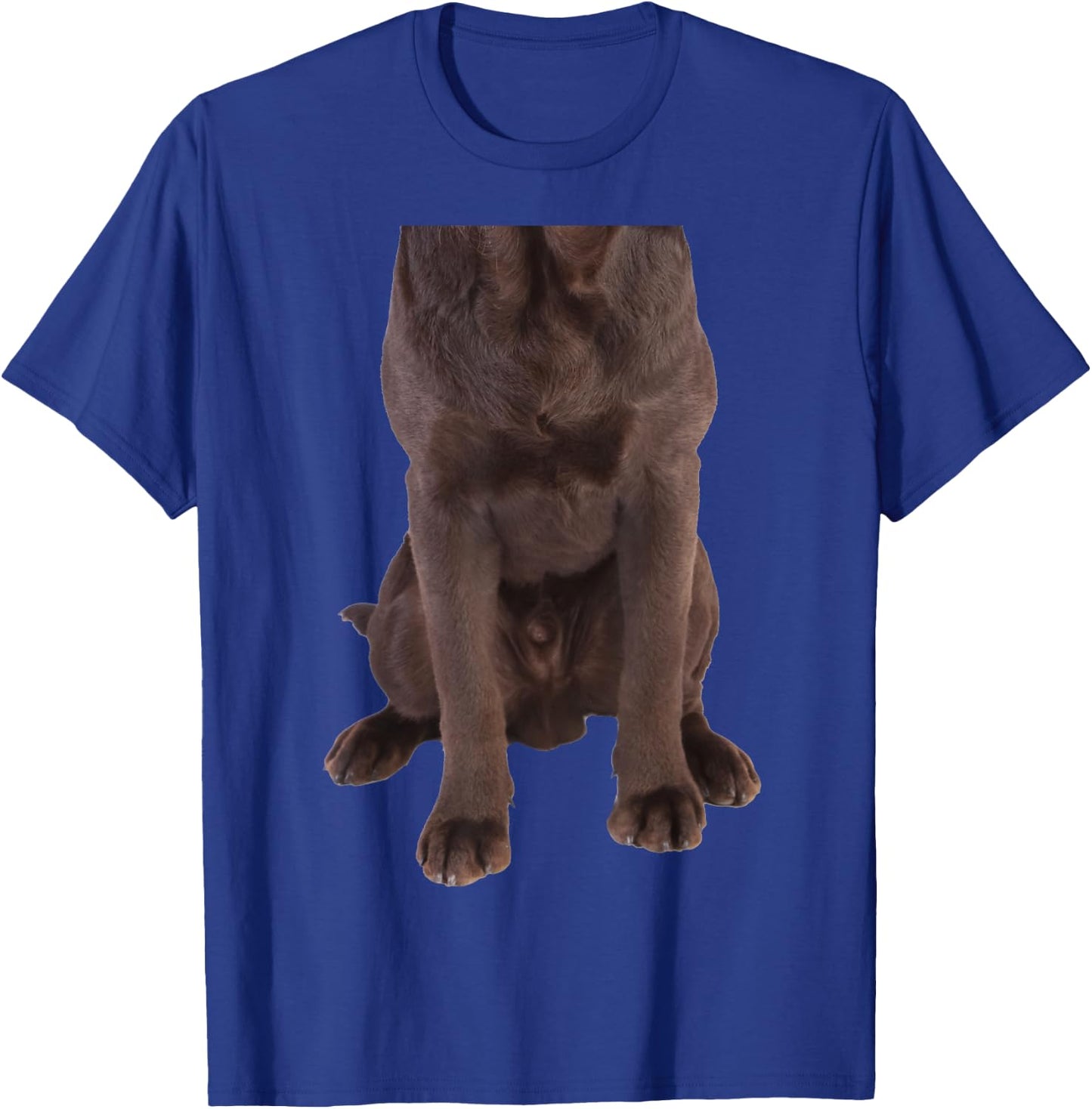 Brown Labrador Retriever Chocolate Lab Funny Dog Costume Women Girls Kids T-Shirt - T-Shirt | Royal