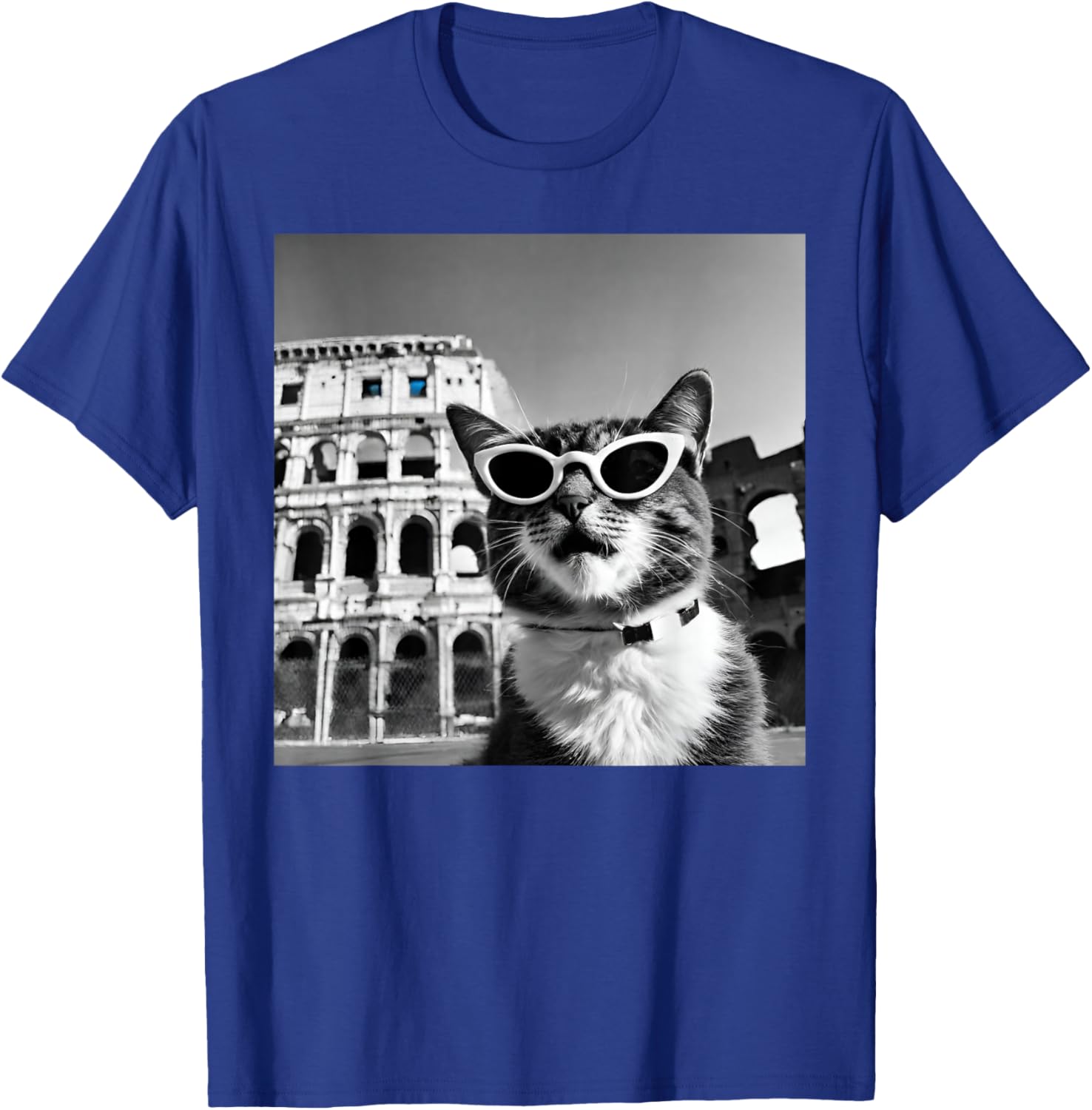 Funny Cat Wearing Sunglasses At The Roman Colosseum T-Shirt - T-Shirt | Royal