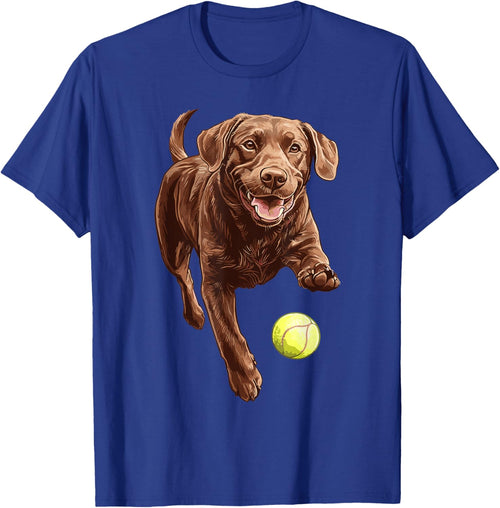 Brown Labrador chasing ball