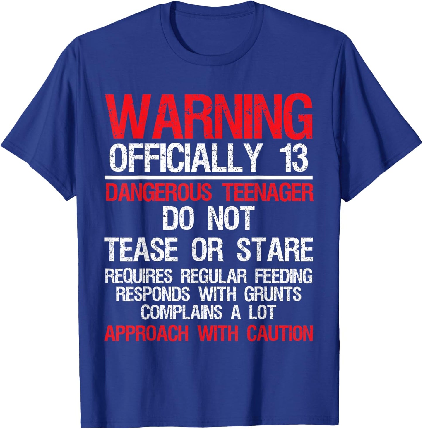 13 Years Old Warning Dangerous Teenager 13th Birthday T-Shirt - T-Shirt | Royal