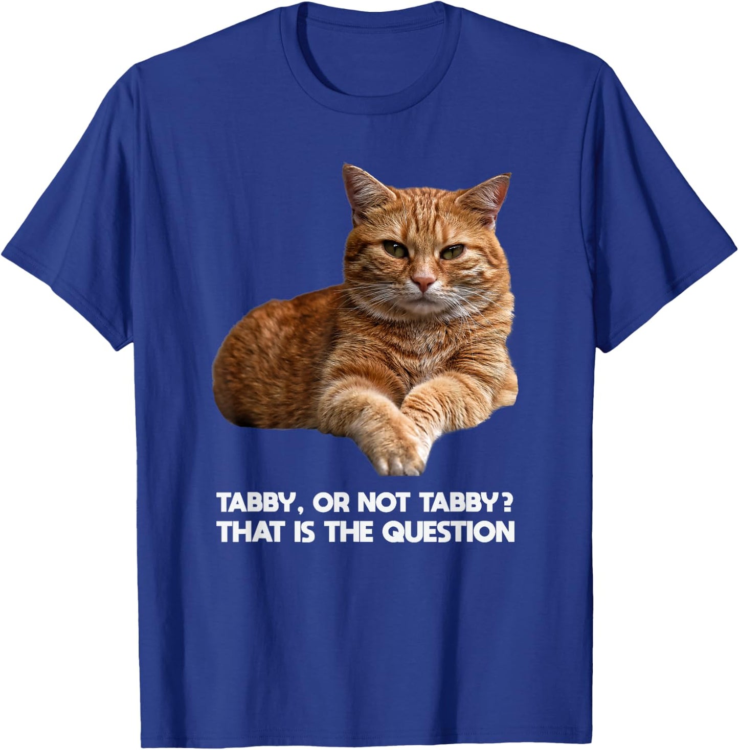 Orange Tabby Cat Funny Meme Design Graphic T-Shirt - T-Shirt | Royal