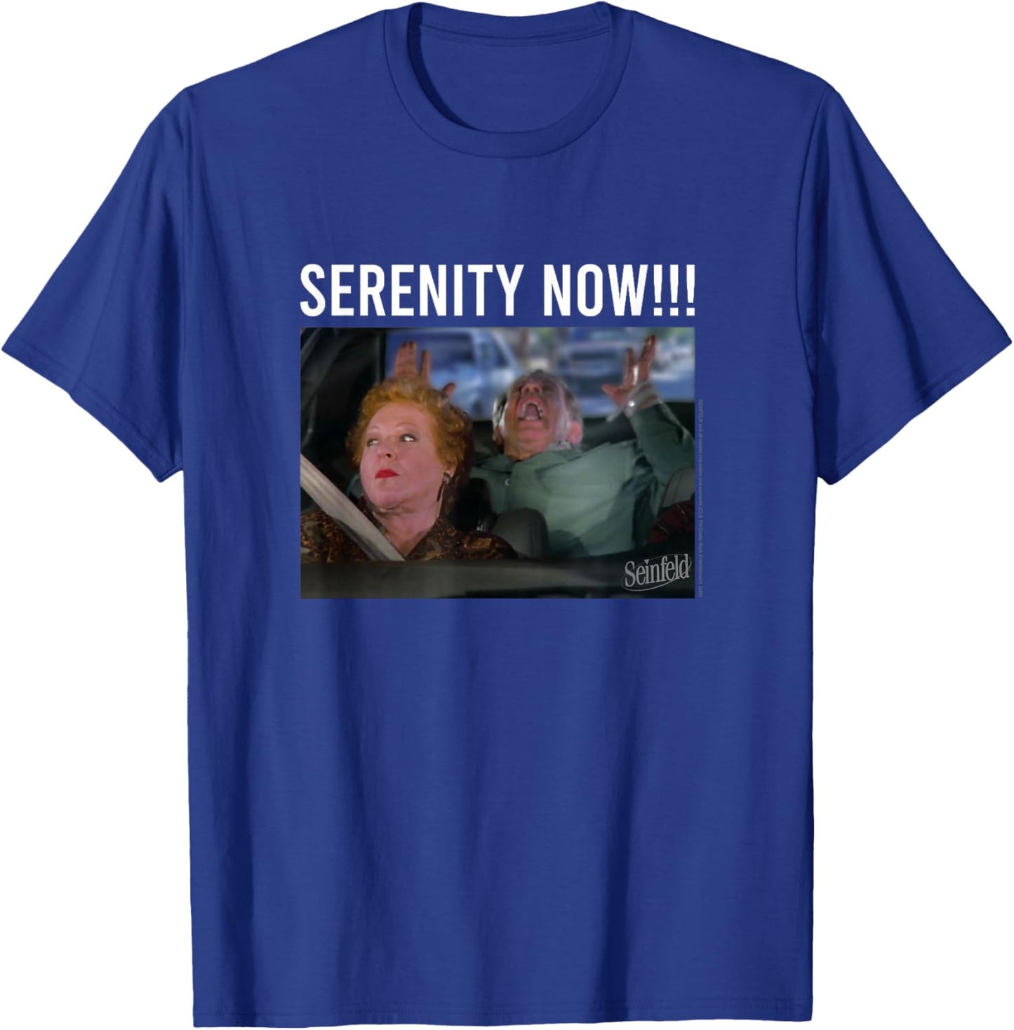 Seinfeld Serenity Now Frank Costanza Vintage Photoreal T-Shirt - T-Shirt | Royal