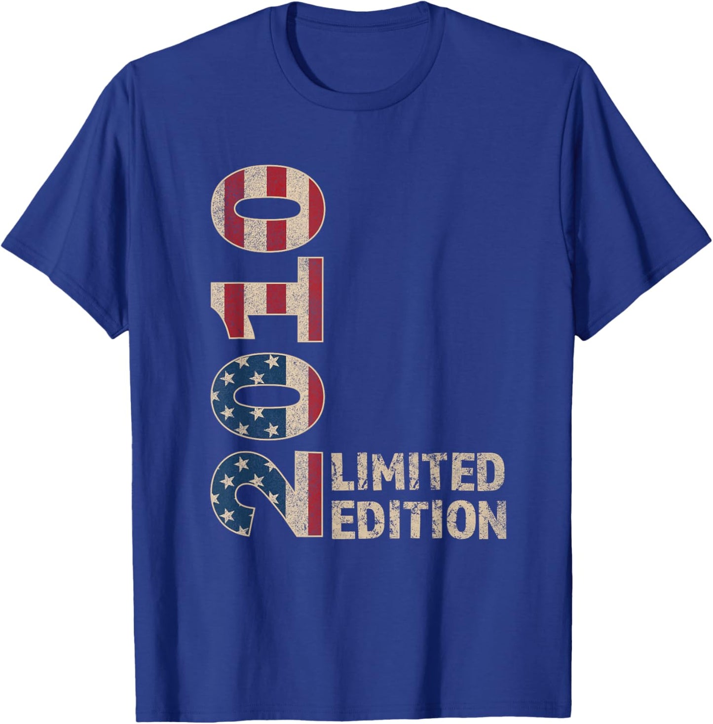 15th Birthday Gift Boy Vintage Born 2010 Turning 15 Year old T-Shirt - T-Shirt | Royal