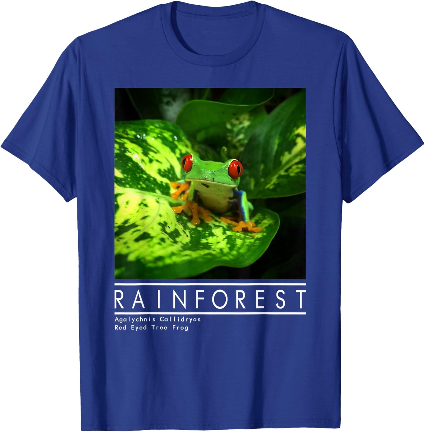 Red Eyed Tree Frog Rainforest Amphibian T-Shirt - T-Shirt | Royal