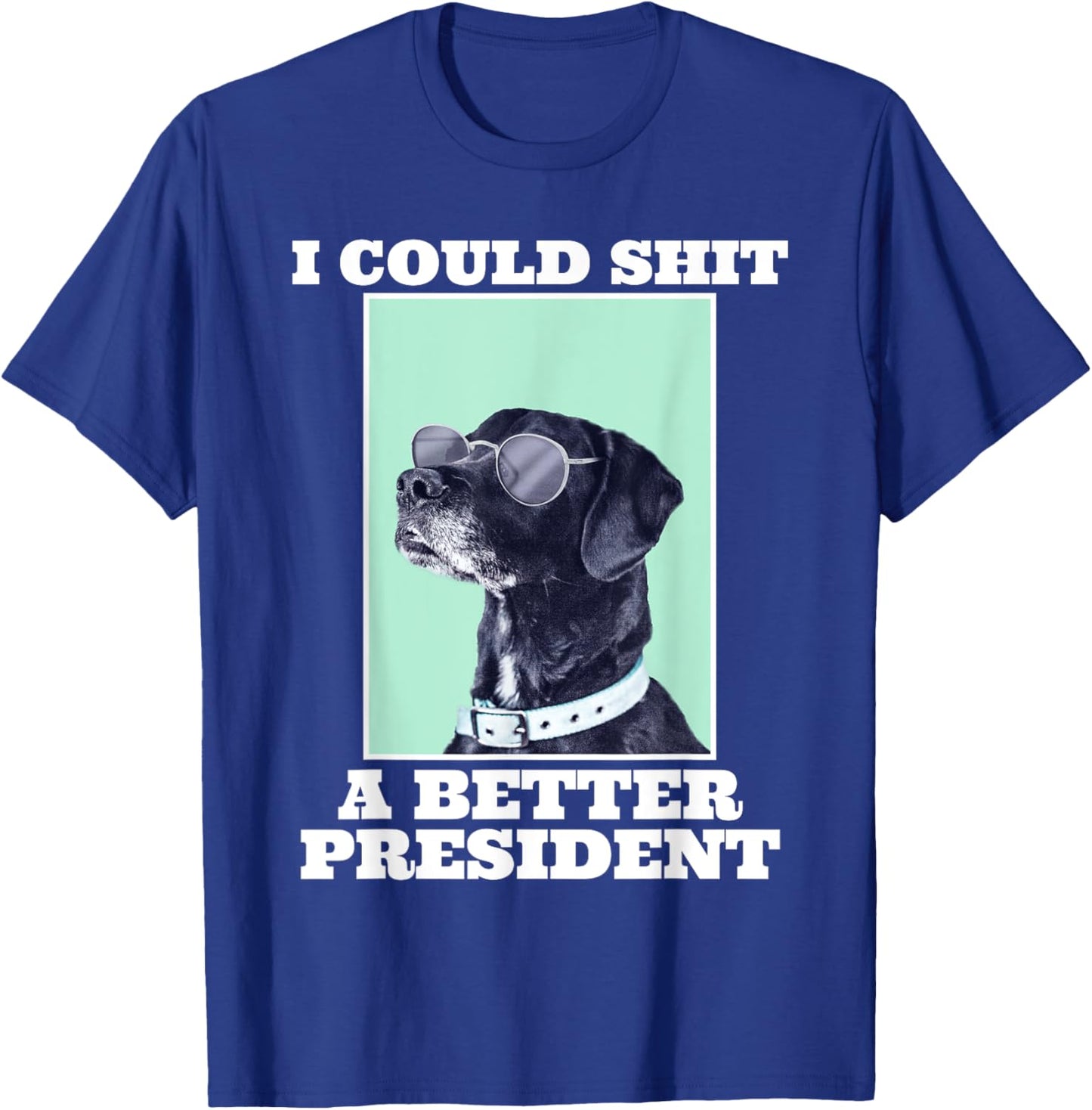 I Could Shit A Better President Funny Dogs Lovers Sarcasm T-Shirt - T-Shirt | Royal