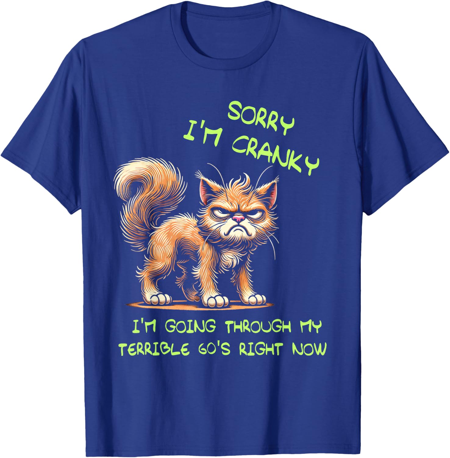 Cat Sorry I'm Cranky I'm Going Through My Terrible 60's T-Shirt - T-Shirt | Royal