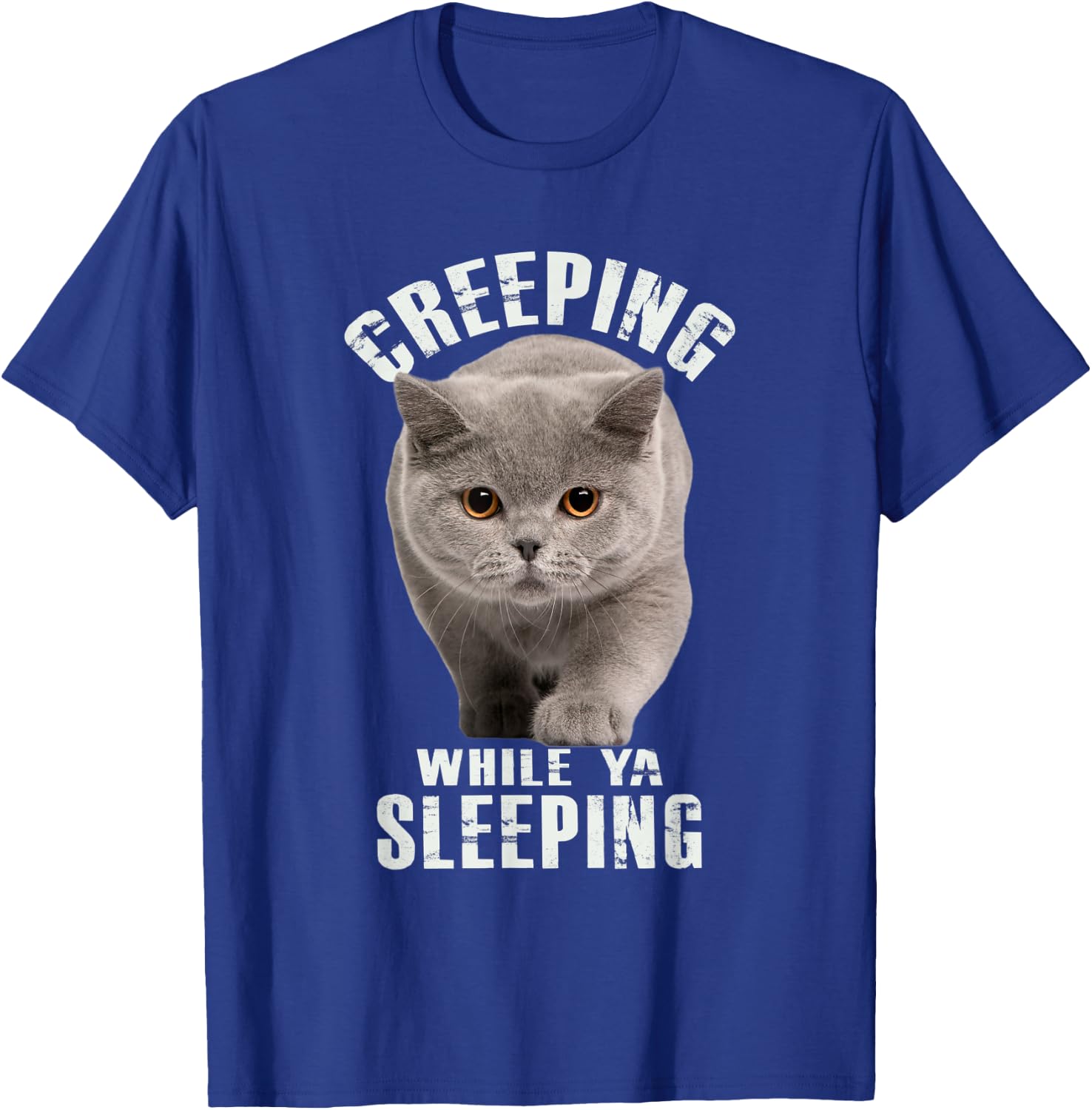 Funny British Shorthair Cat Shirt Creeping While Ya Sleeping T-Shirt - T-Shirt | Royal