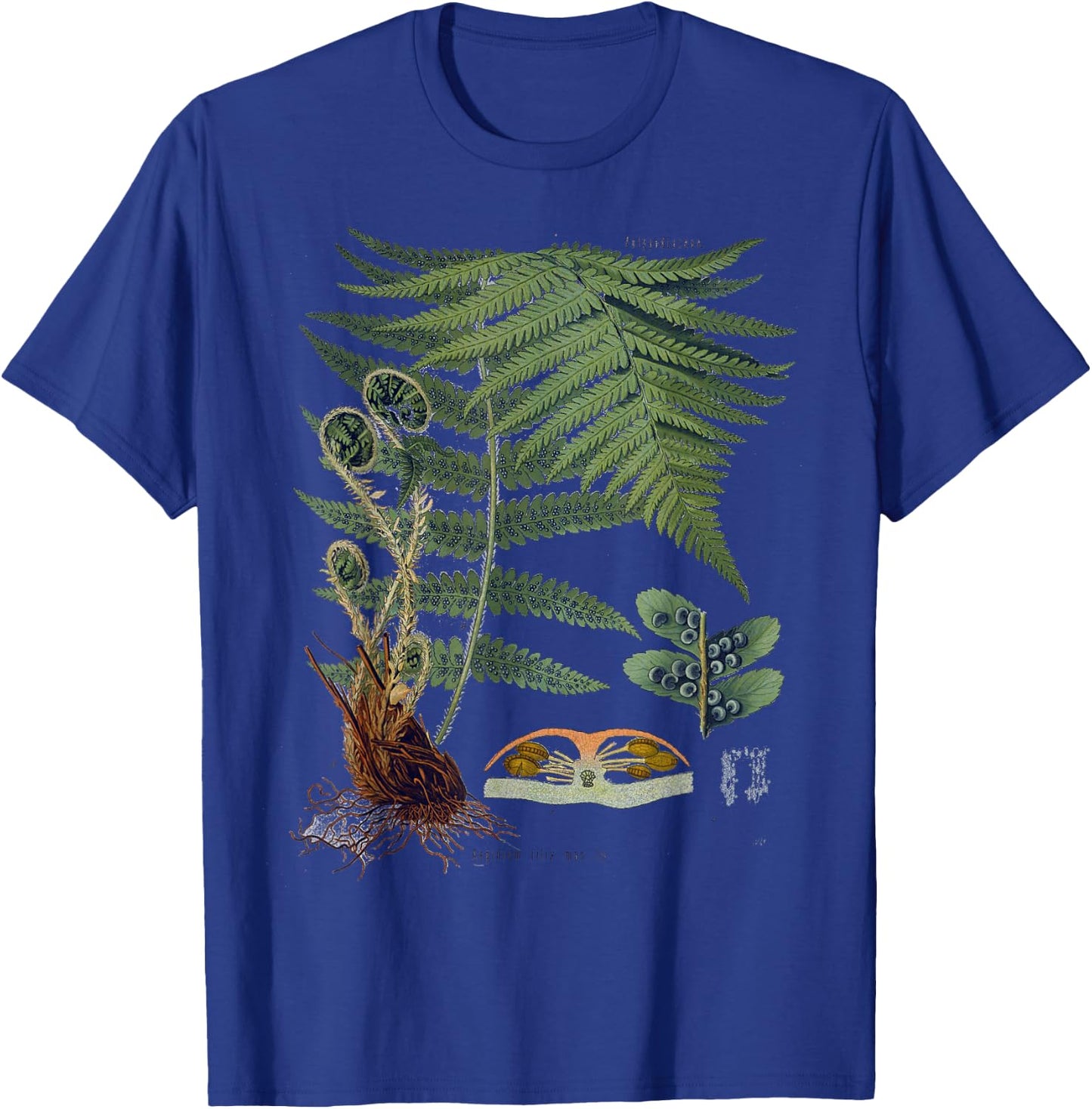 Fern Botanical Plants Botany T-Shirt - T-Shirt | Royal