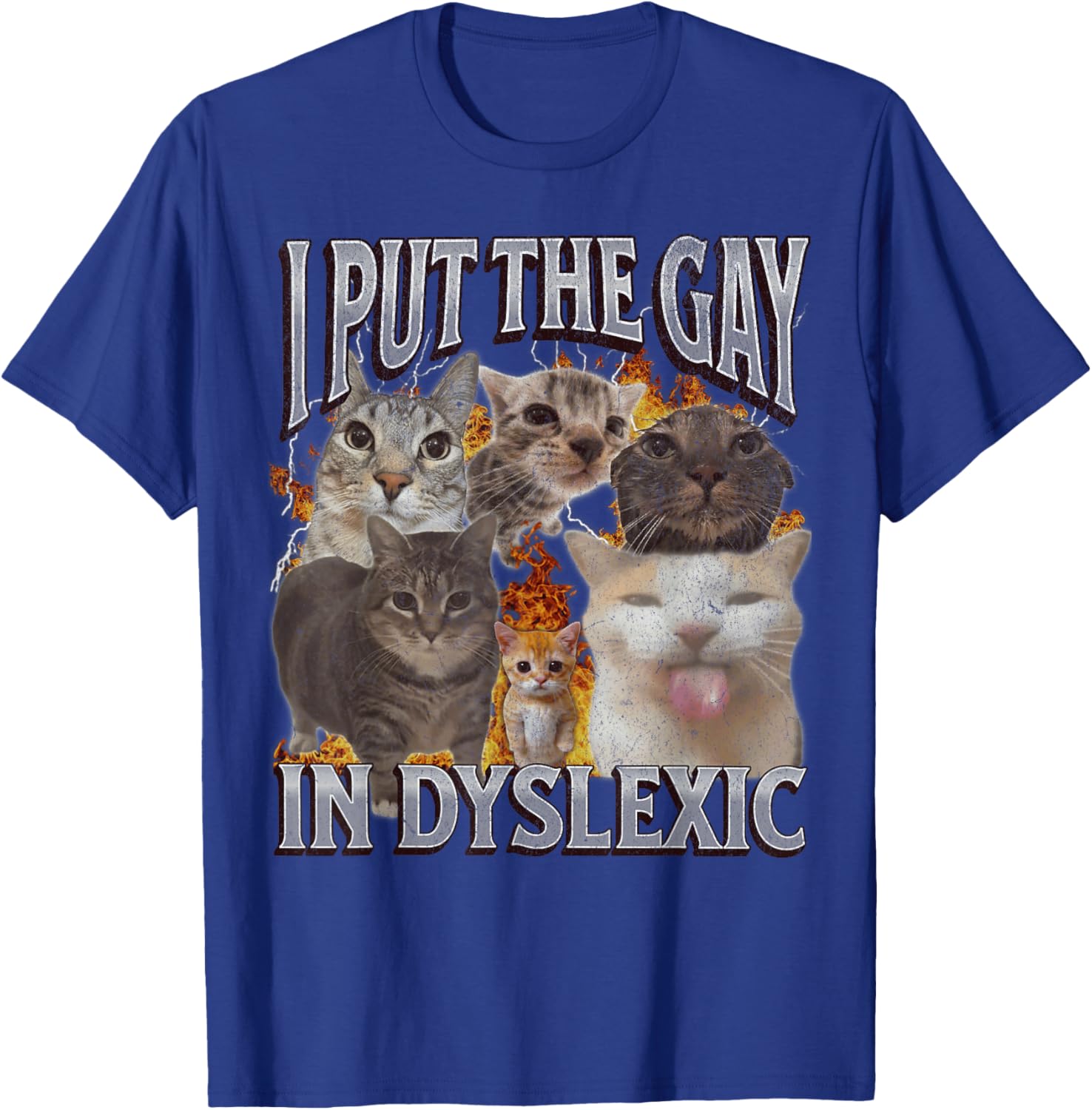 I Put The Gay In Dyslexic Funny Graphic , Black, S T-Shirt - T-Shirt | Royal