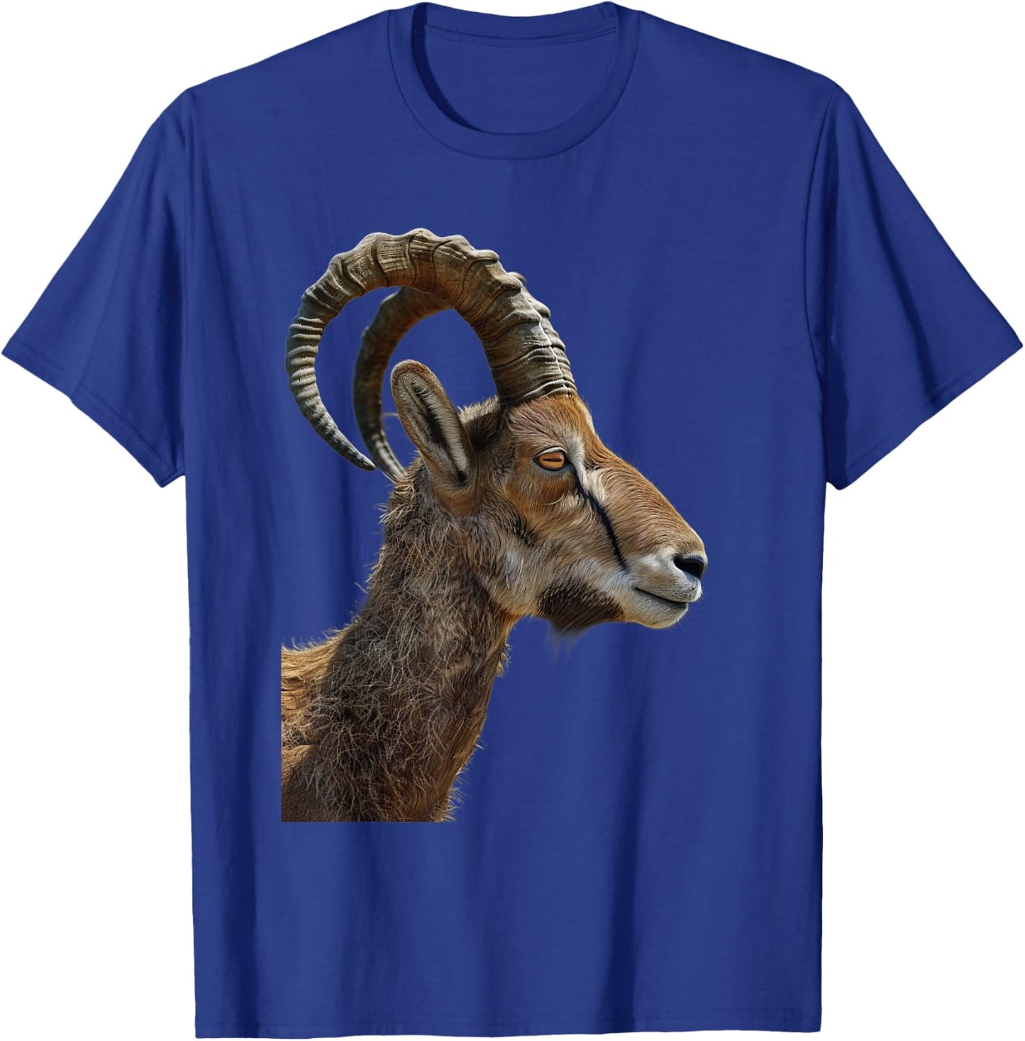 Ibex T-Shirt - T-Shirt | Royal