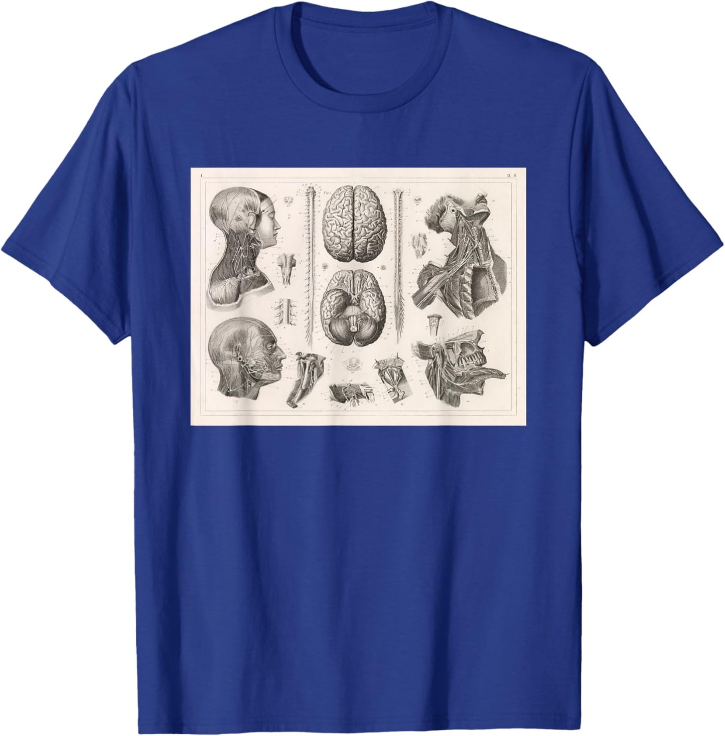 Brain, Spinal and Nervous System Medical Diagram T-Shirt - T-Shirt | Royal