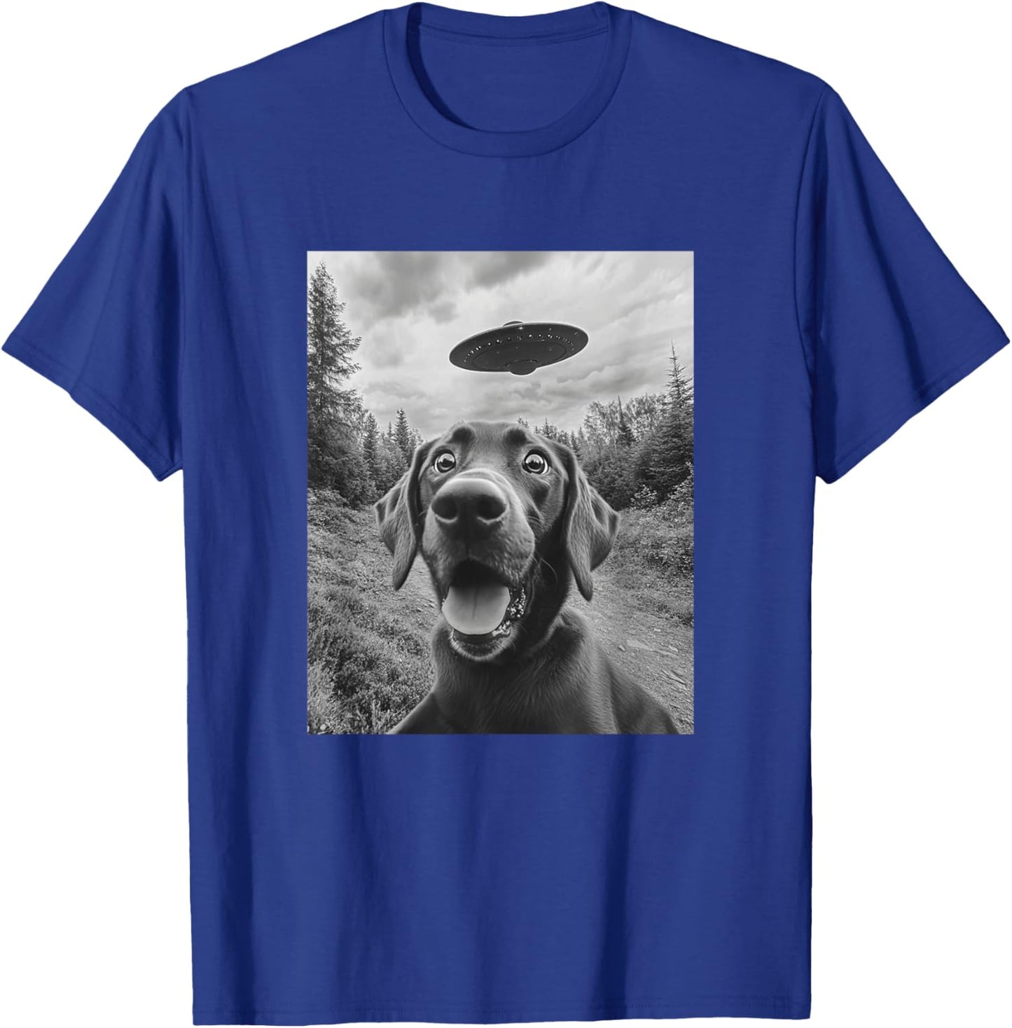 Labrador UFO Meme - Funny Labrador Selfie with UFO T-Shirt - T-Shirt | Royal