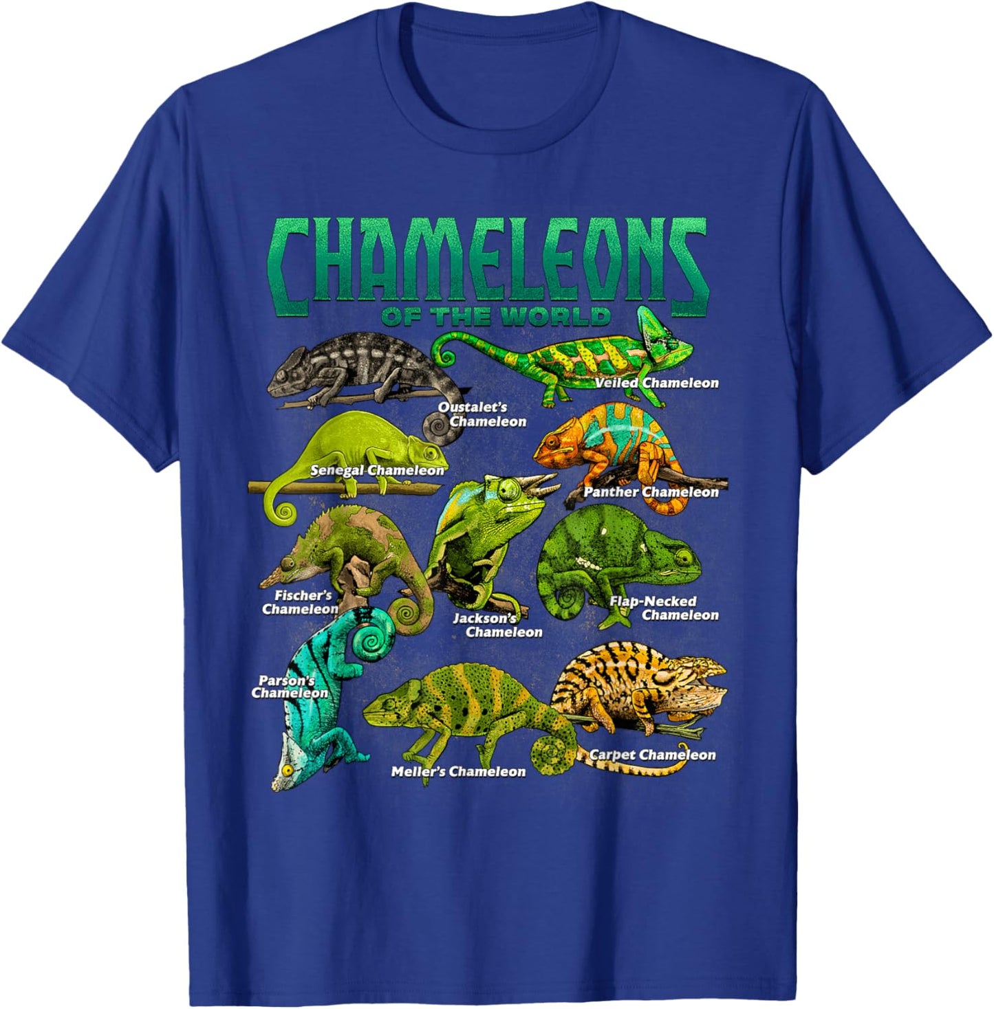 Chameleons of The World Educational Reptile Lizard Lover T-Shirt - T-Shirt | Royal