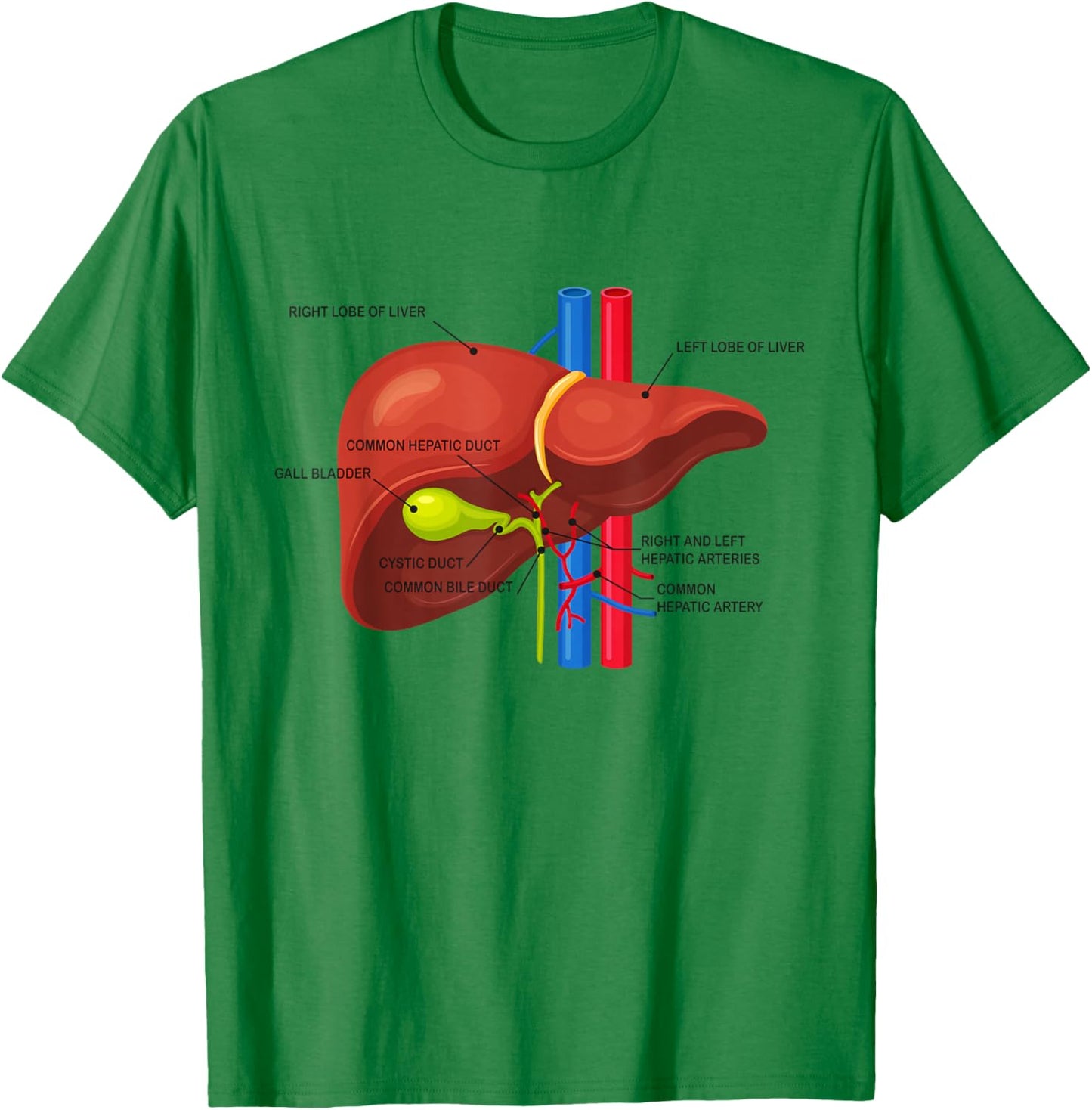 Funny Human Liver Anatomy Anatomical Liver T-Shirt - T-Shirt | Irish Green