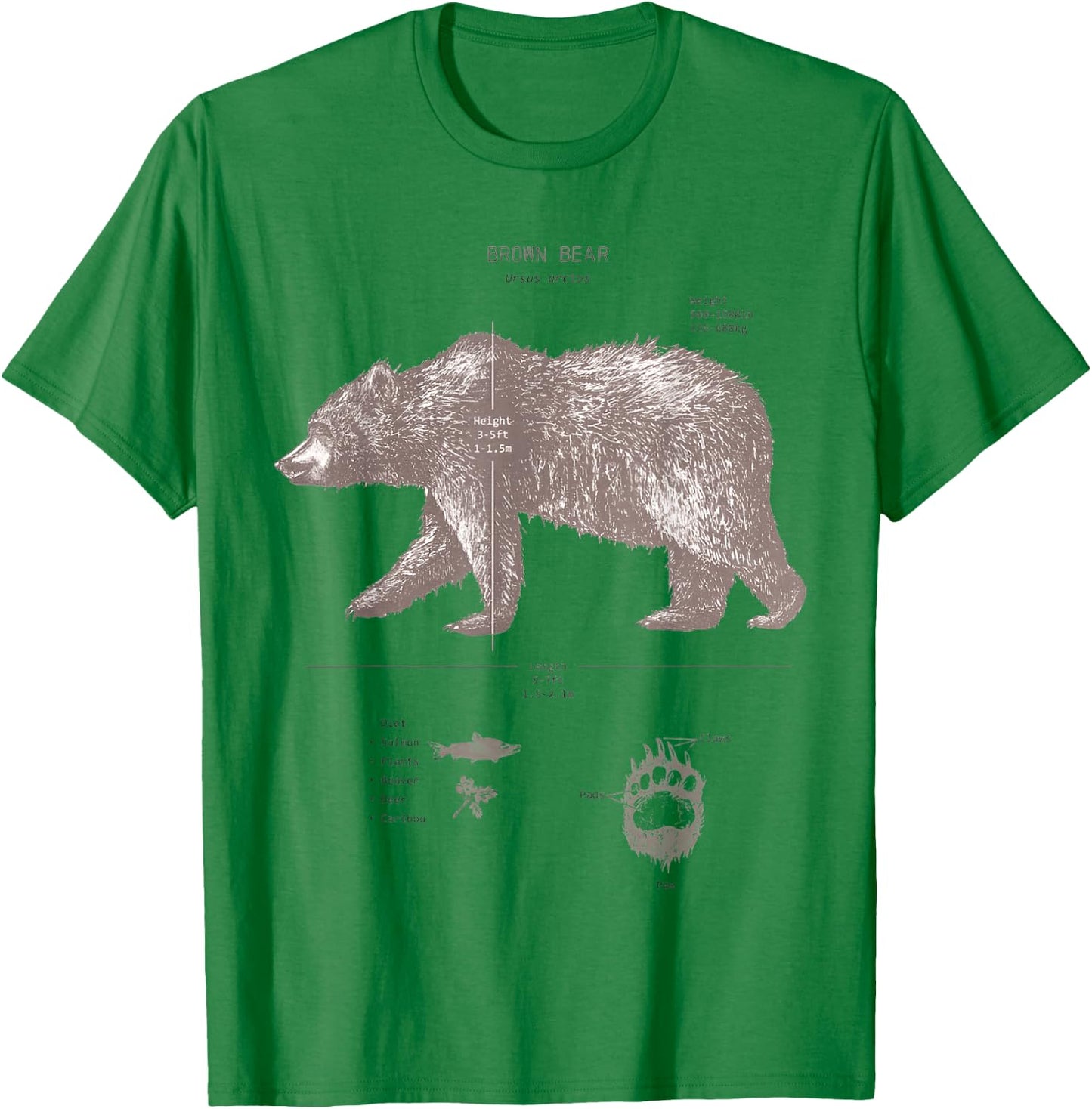 Brown Bear Anatomy T-Shirt - T-Shirt | Irish Green